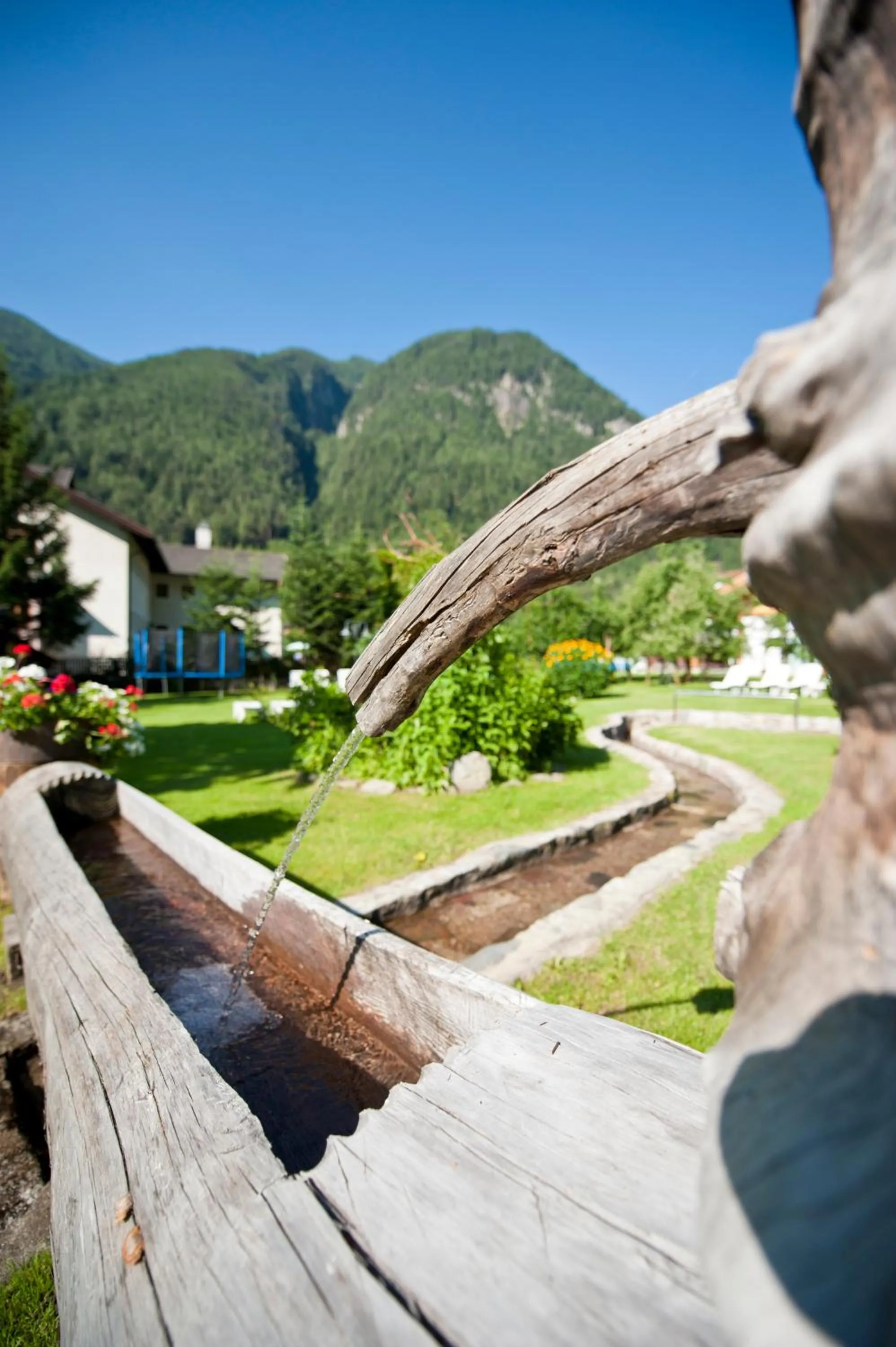 Natural landscape in Zur Brücke apartments and rooms - Your home in heart of South Tyrol, with Brixencard