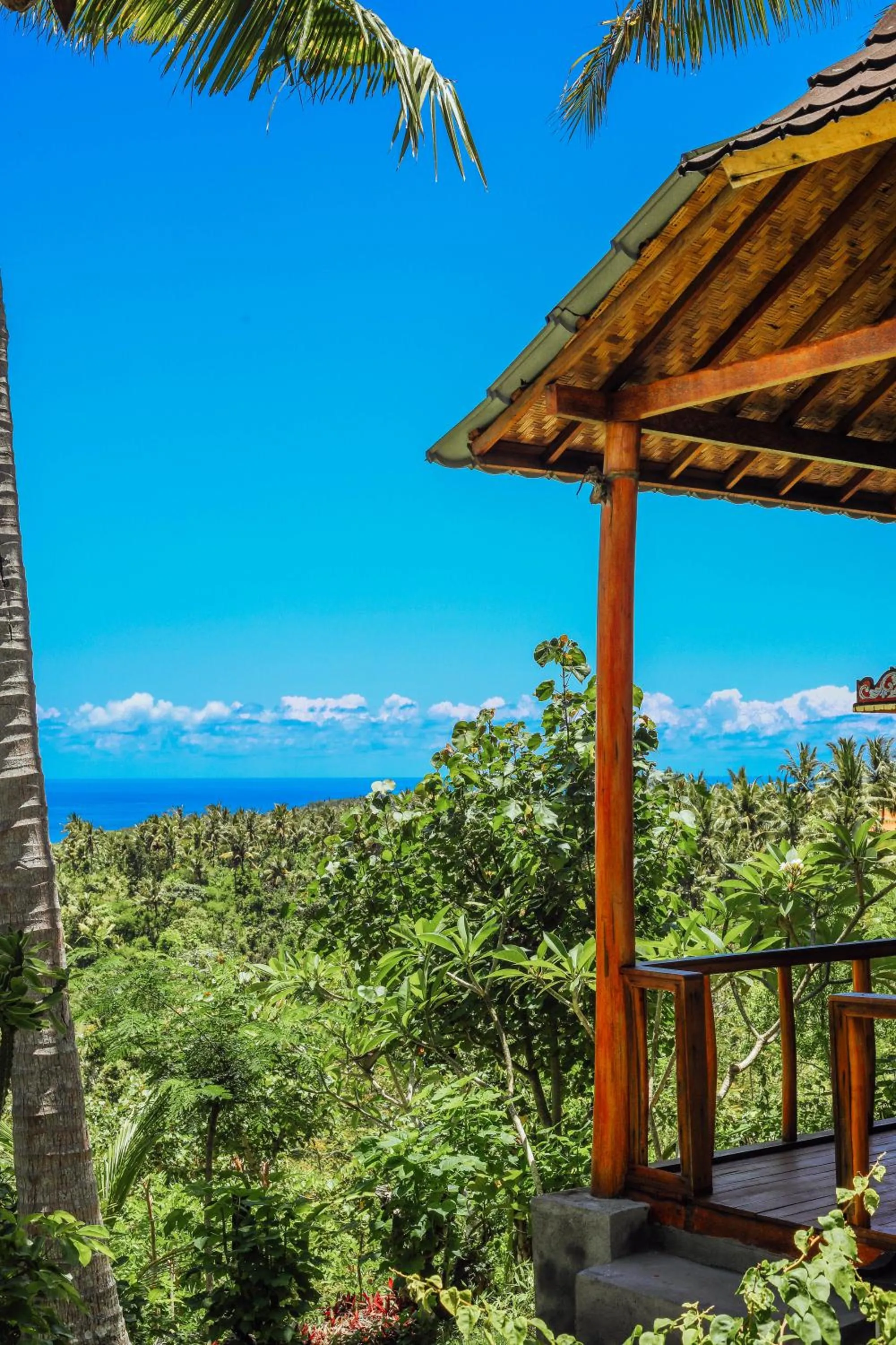 View (from property/room) in Atuh Forest Cottage