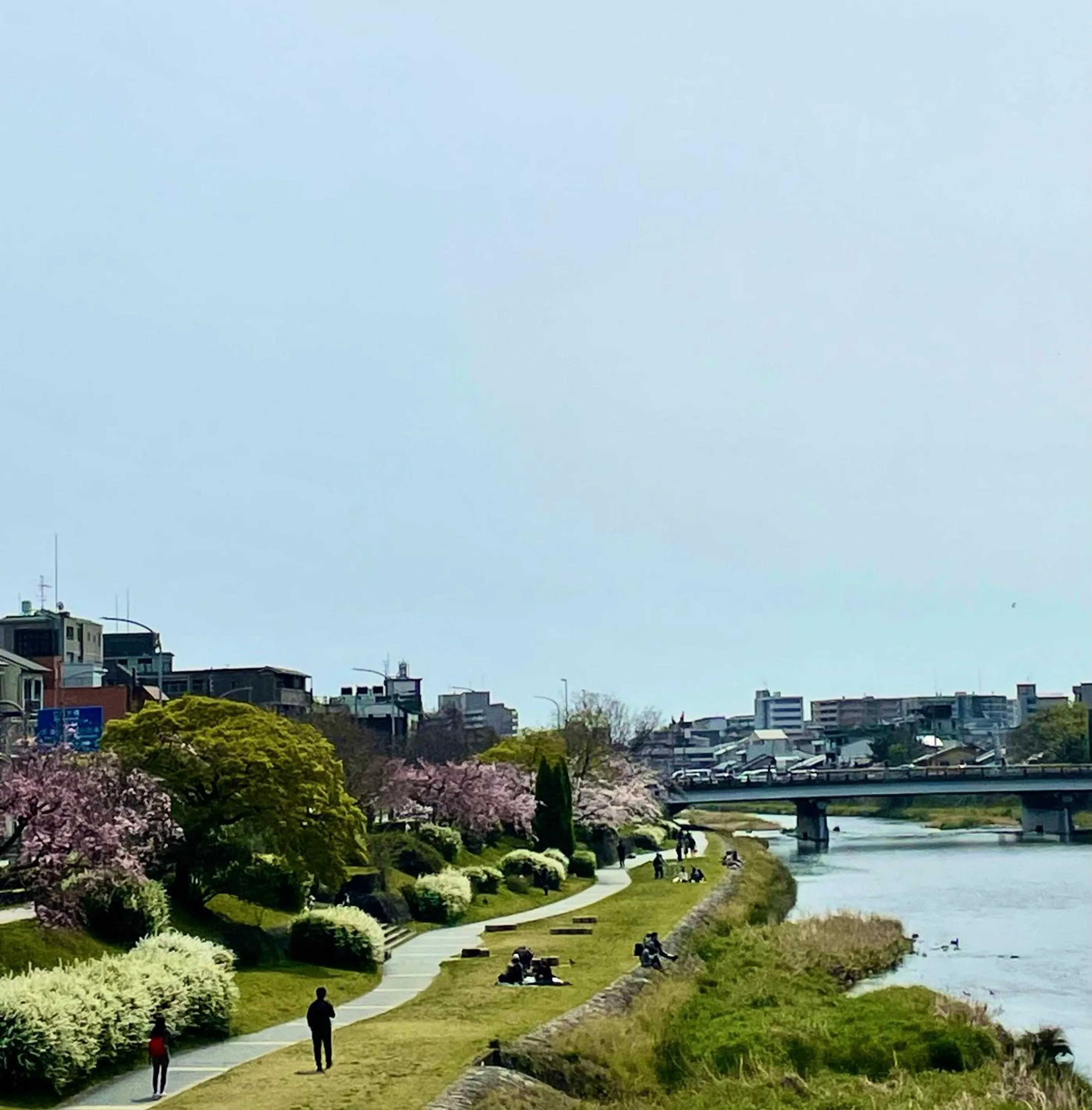 Spring in Kyoto Sanjo Ohashi