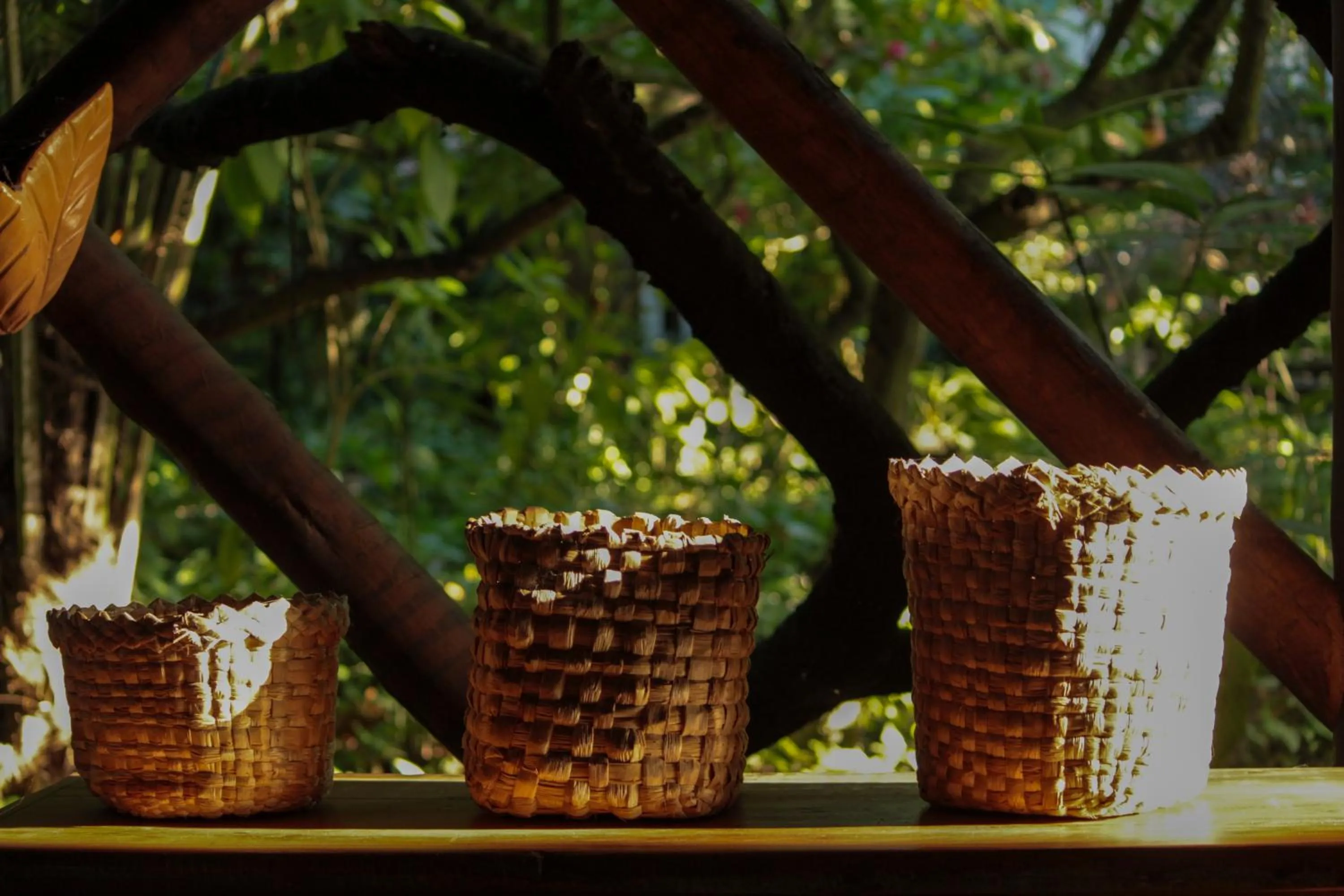 Garden view in Pousada Fruta Pão