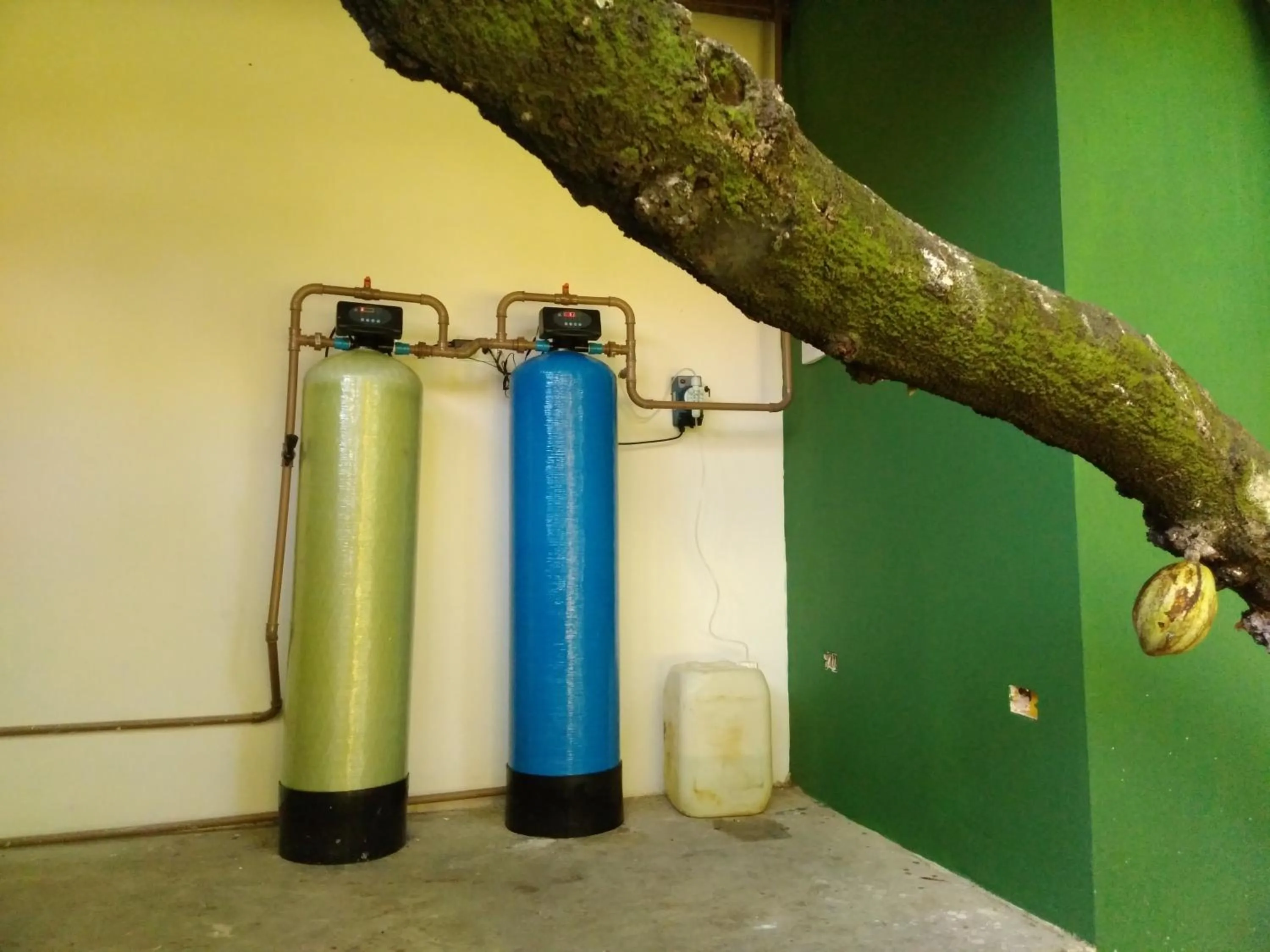 Seasons in Pousada Fruta Pão