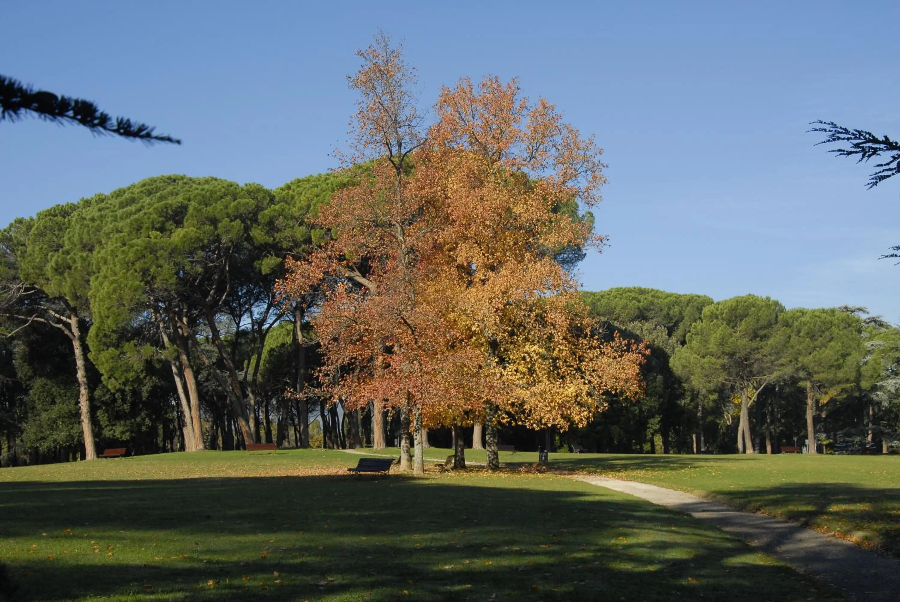 Nearby landmark in Hotel Settentrionale Esplanade