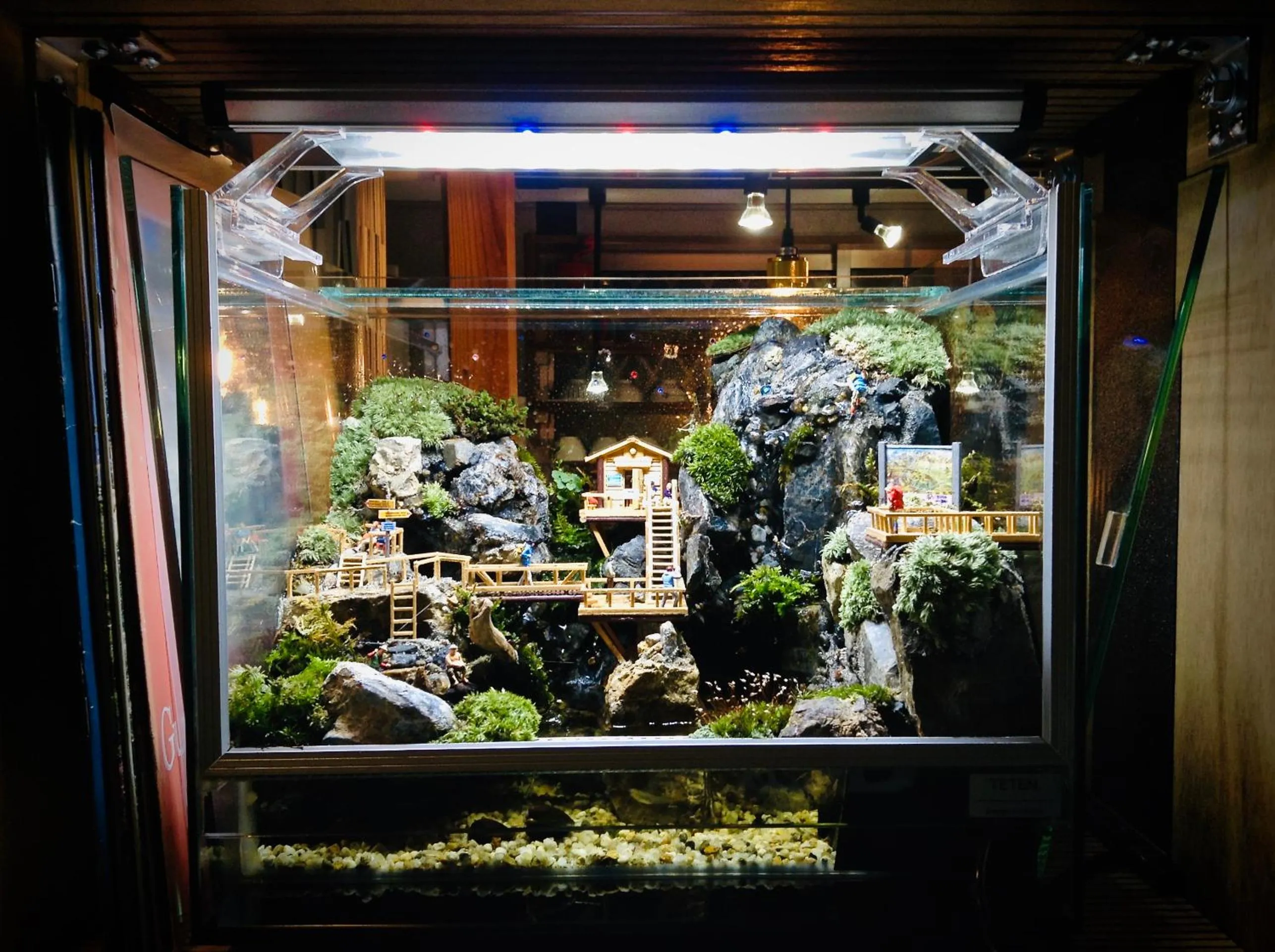 Lounge or bar in Koke Musu inn