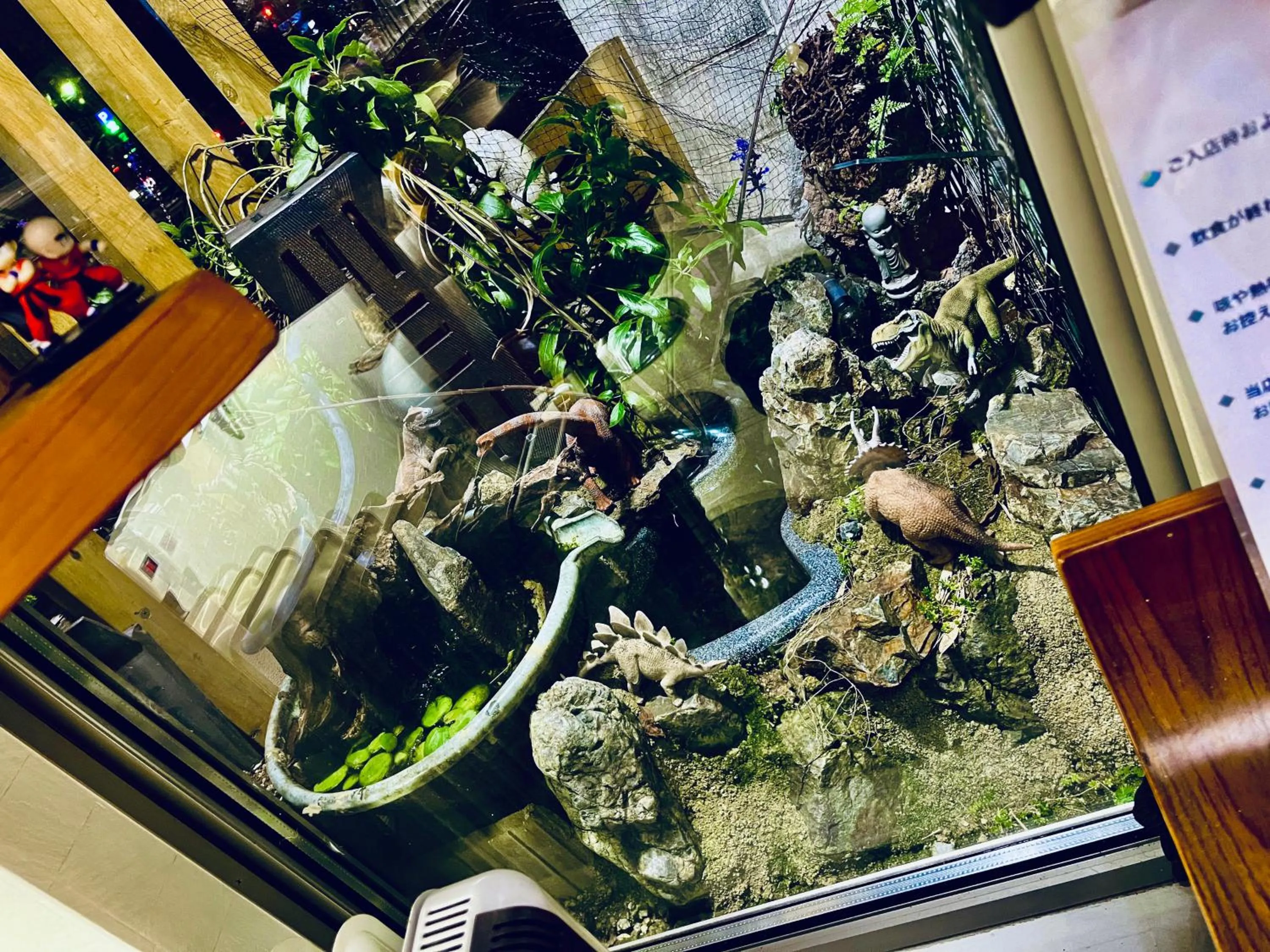 Restaurant/places to eat in Koke Musu inn