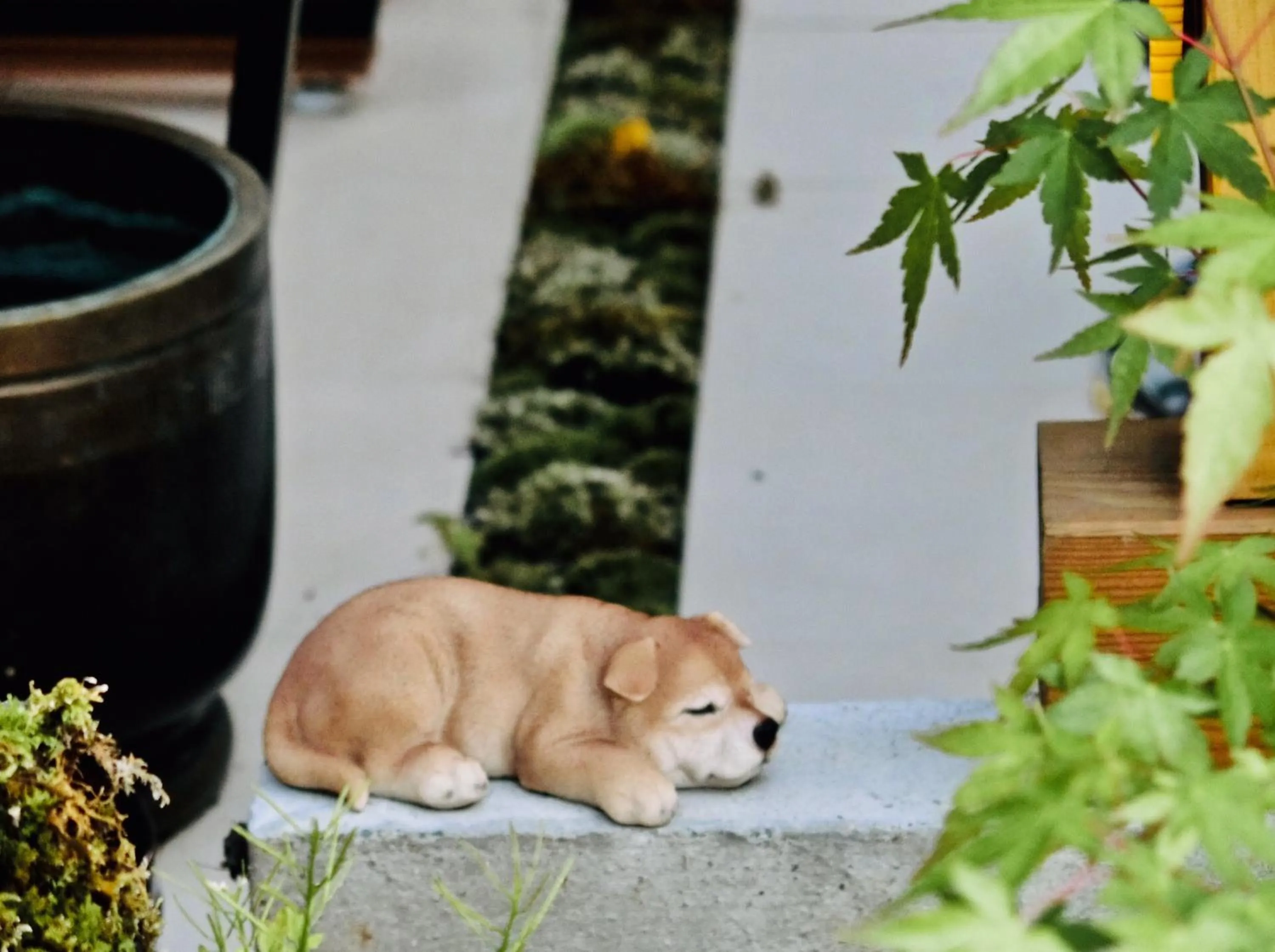 Patio in Koke Musu inn
