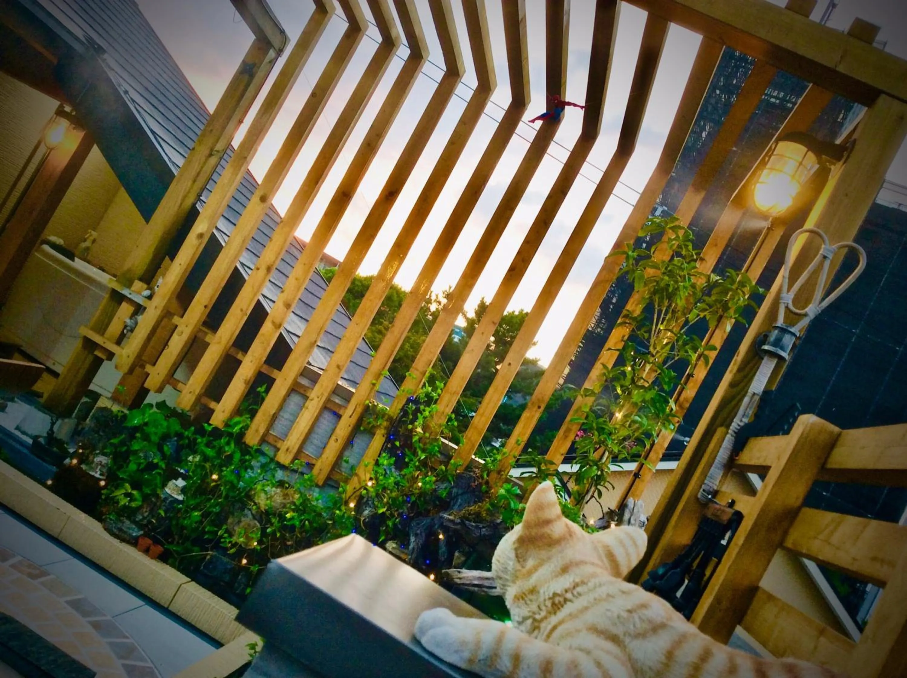 Balcony/Terrace in Koke Musu inn