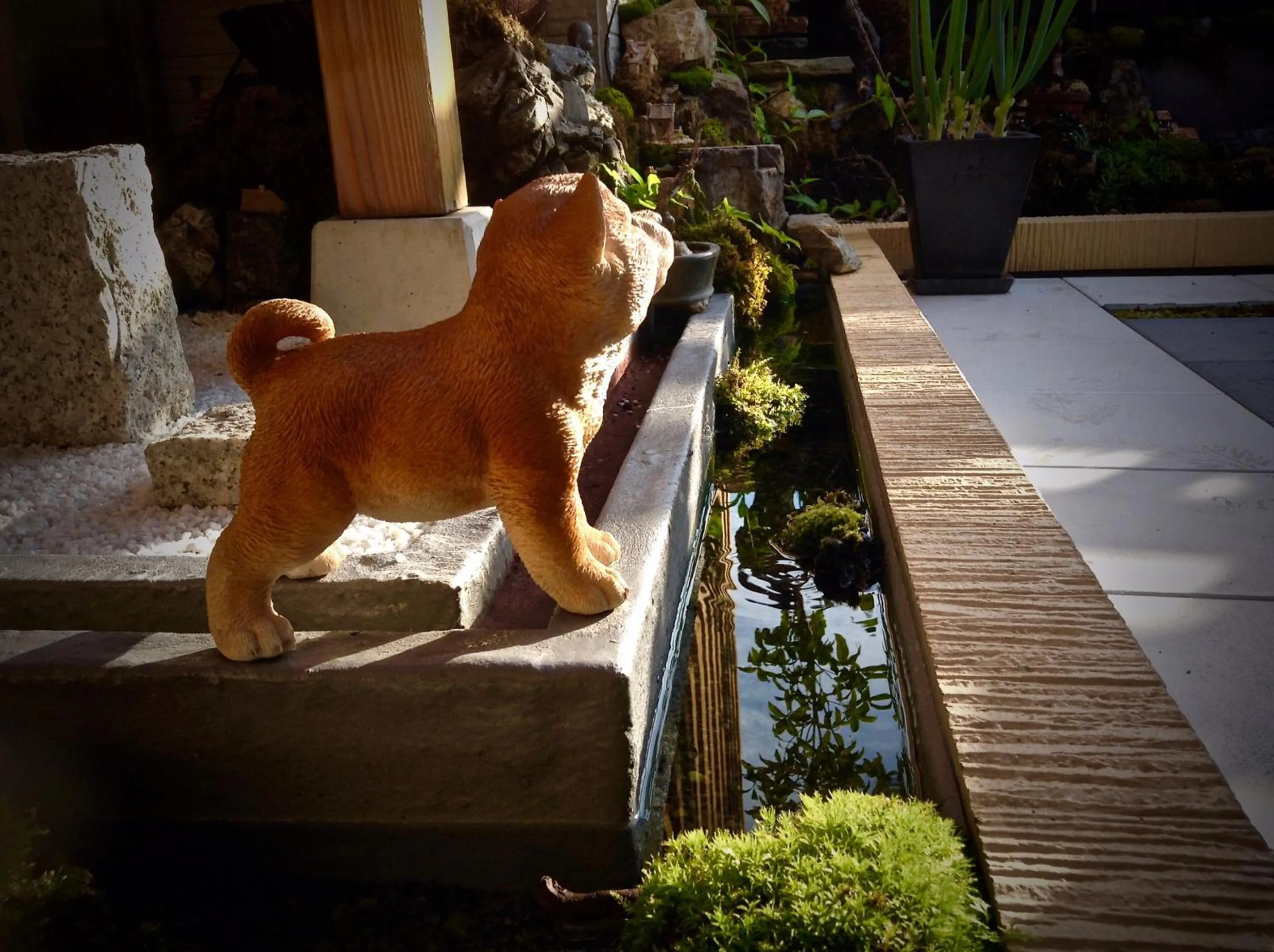 BBQ facilities in Koke Musu inn
