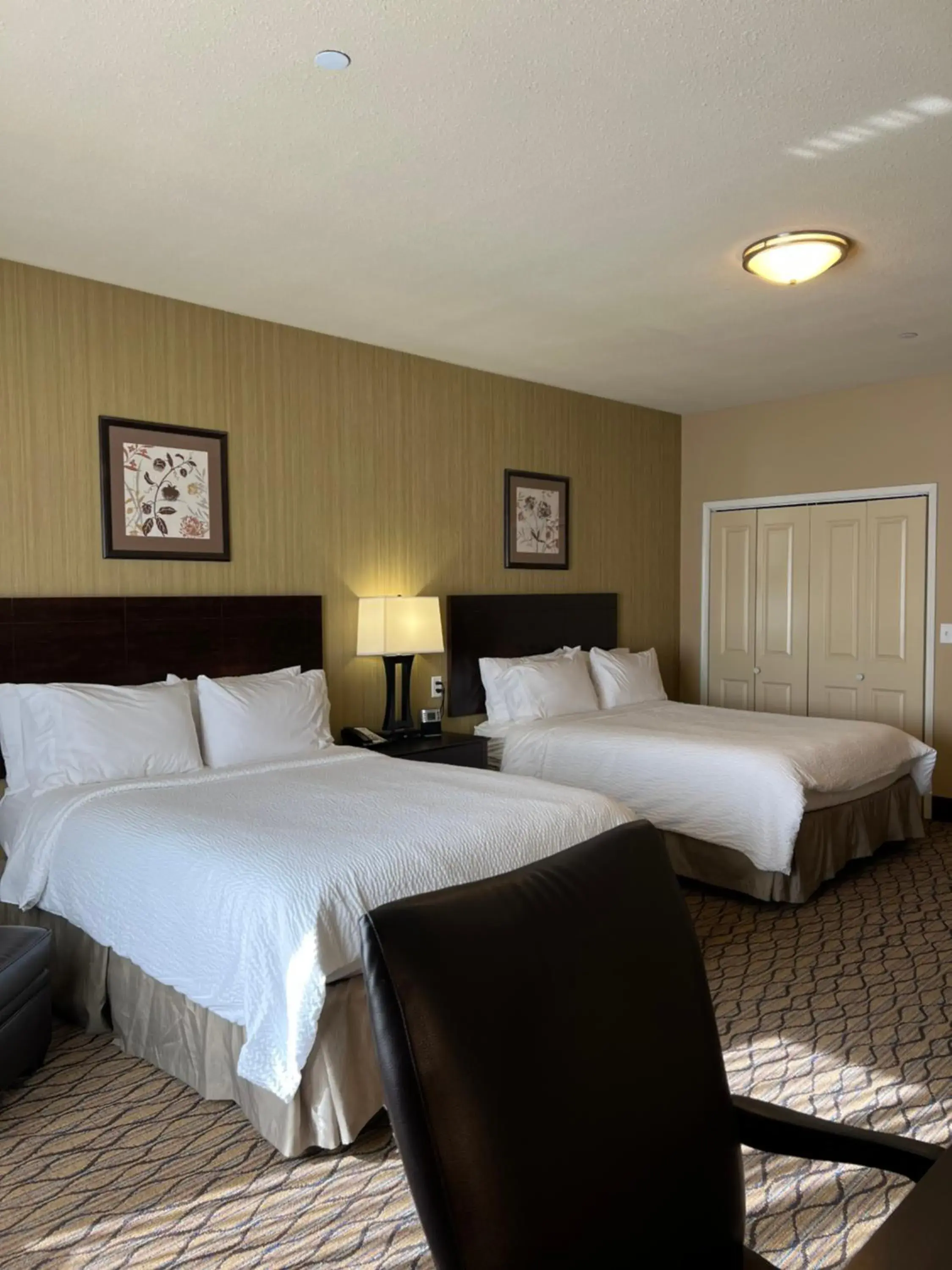 Bed in Holiday Inn Express & Suites - Williston by IHG Bed in Holiday Inn Express & Suites - Williston by IHG