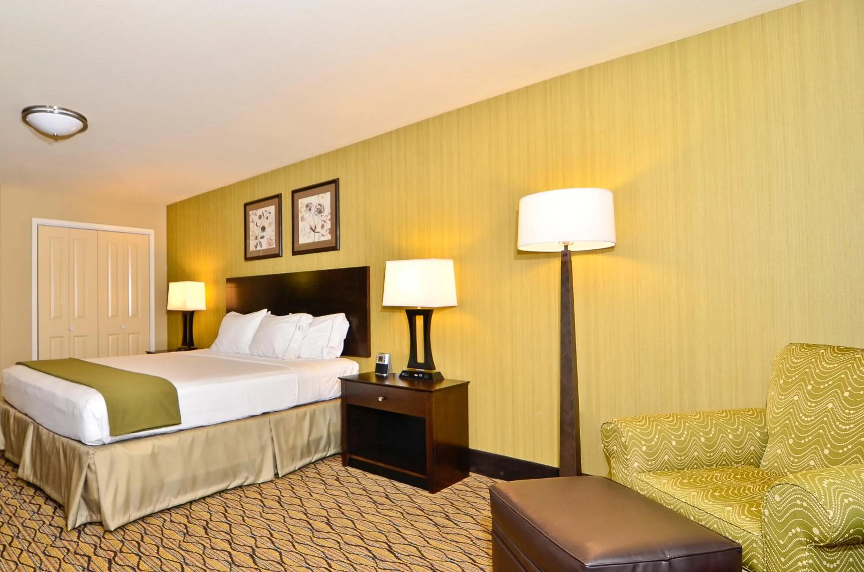 Photo of the whole room, Bed in Holiday Inn Express & Suites - Williston by IHG