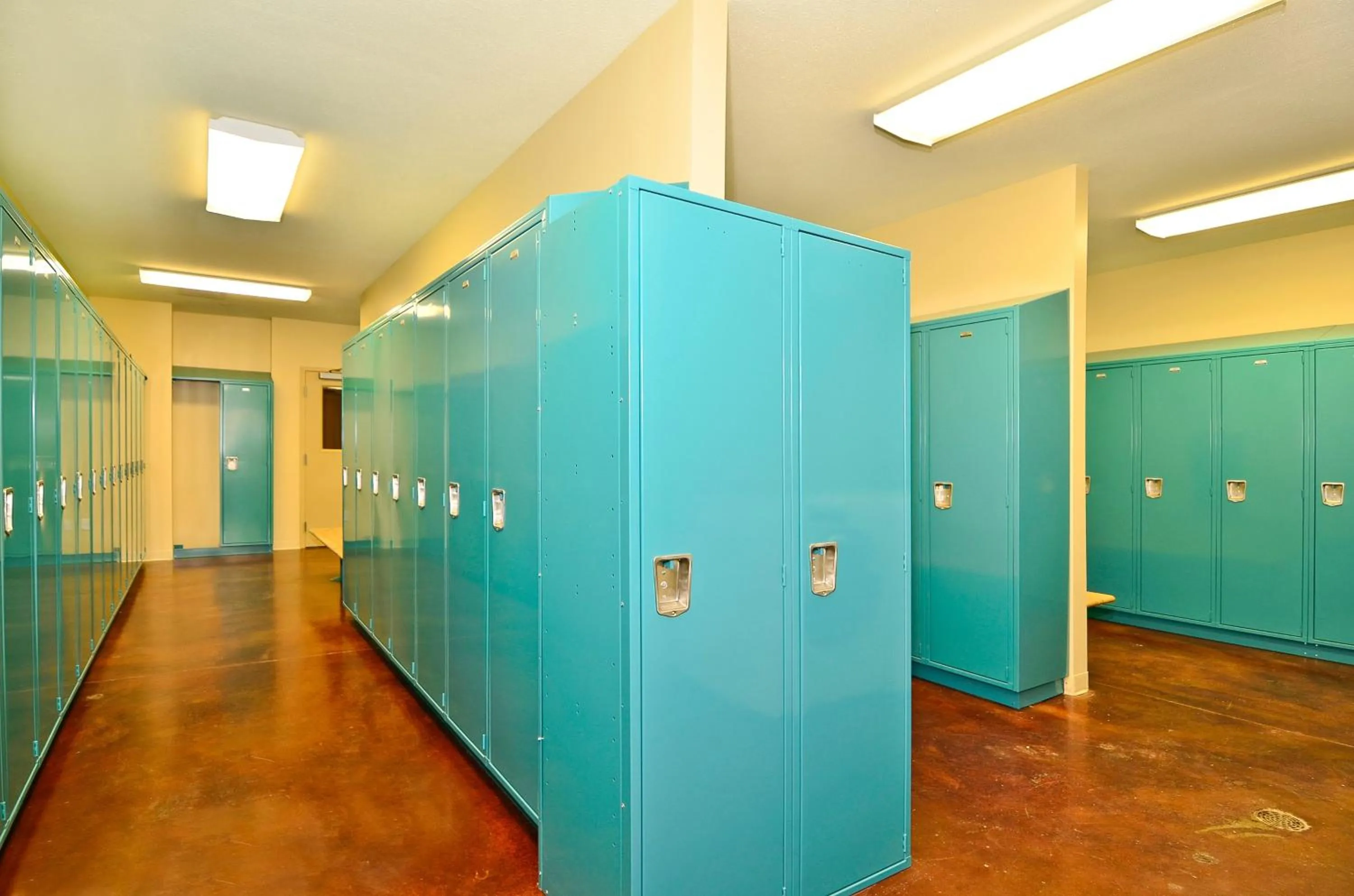 Lobby or reception in Holiday Inn Express & Suites - Williston by IHG