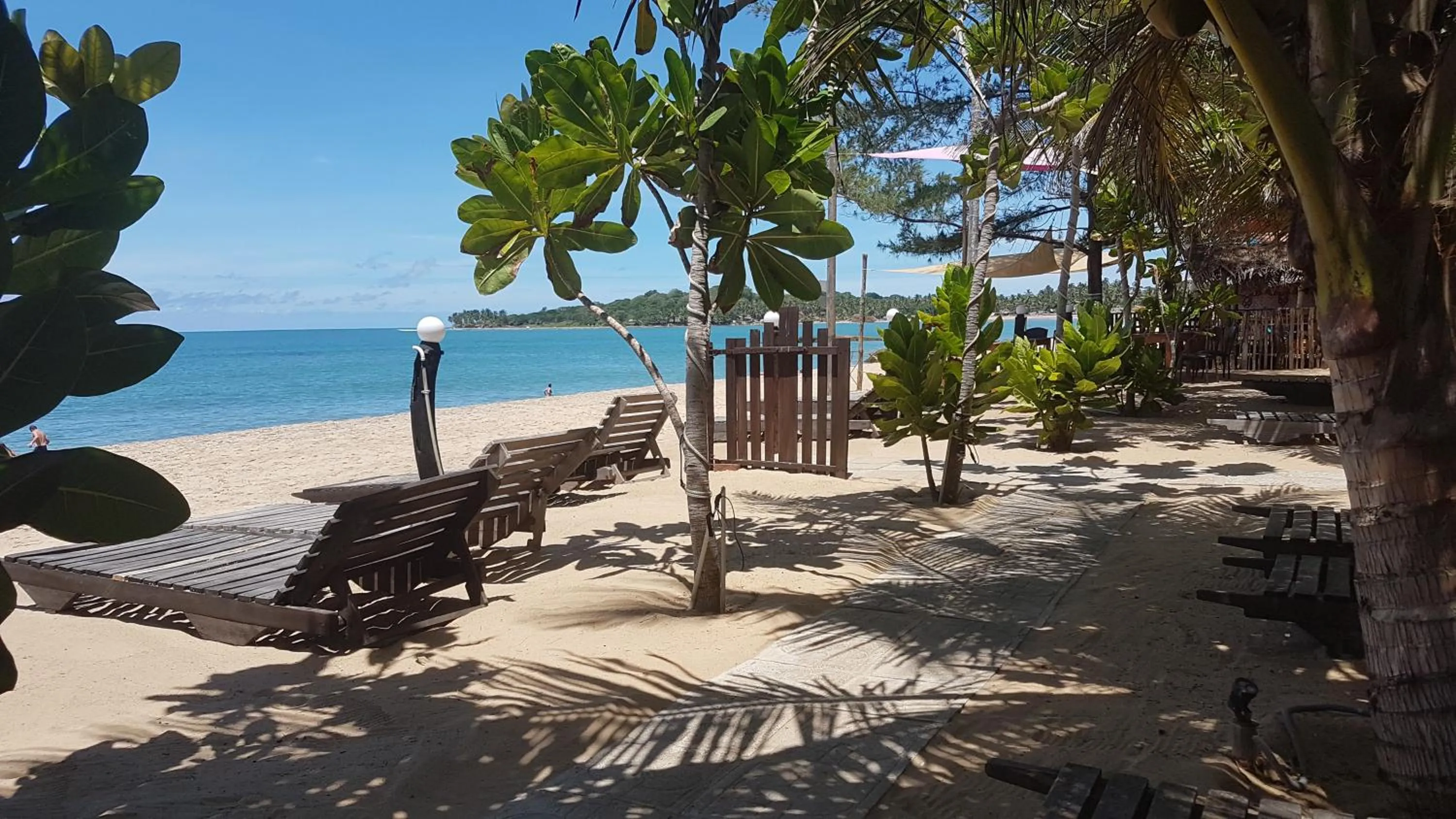 Garden in Sandy Beach Hotel
