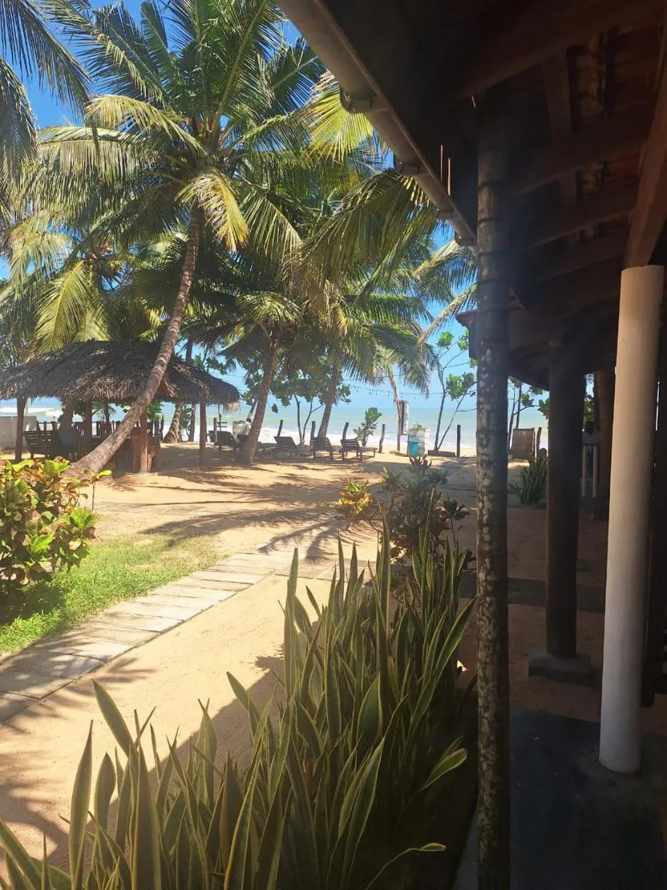 Garden view in Sandy Beach Hotel
