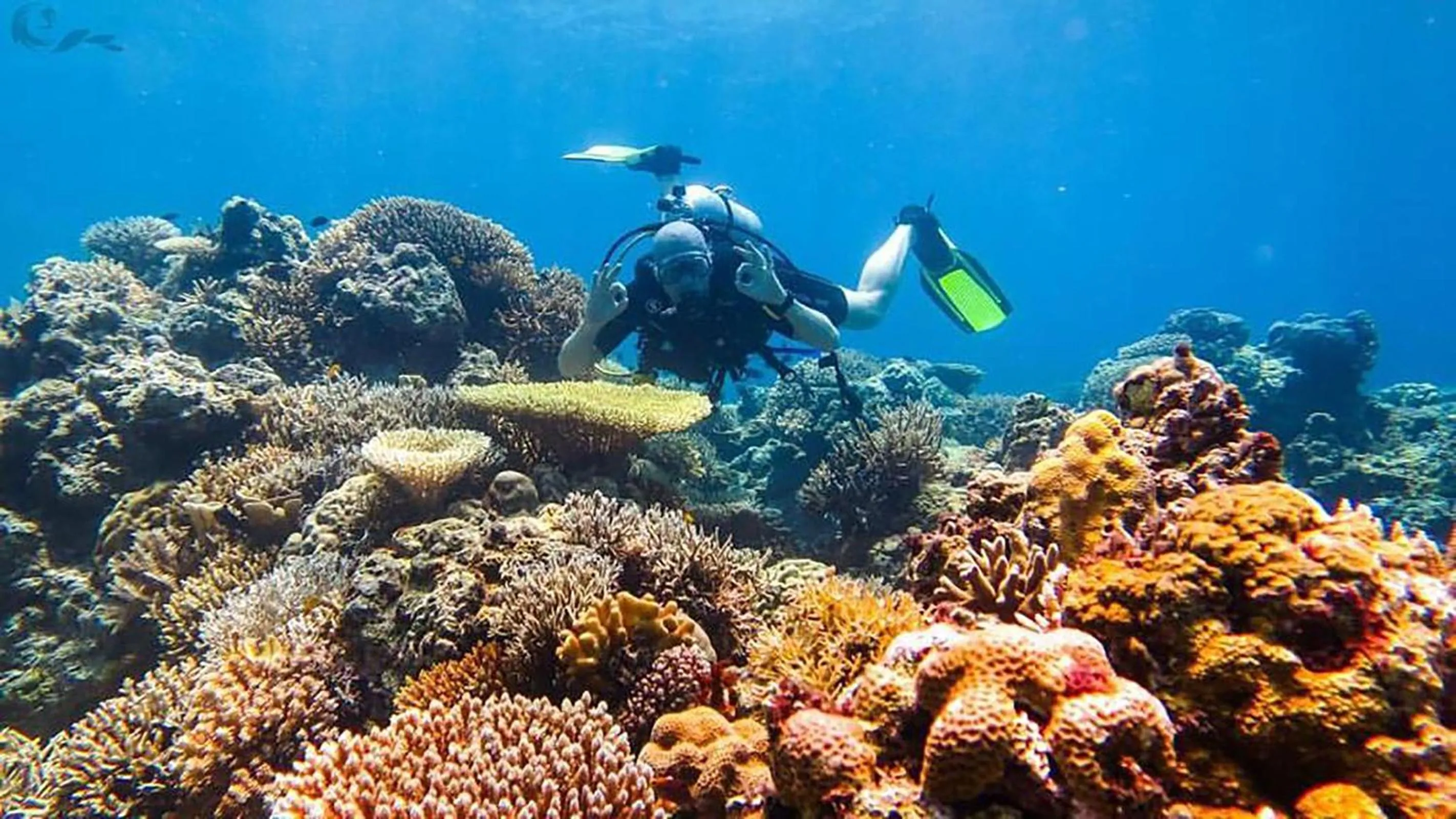 Maleo Moyo Hotel & Dive Resort
