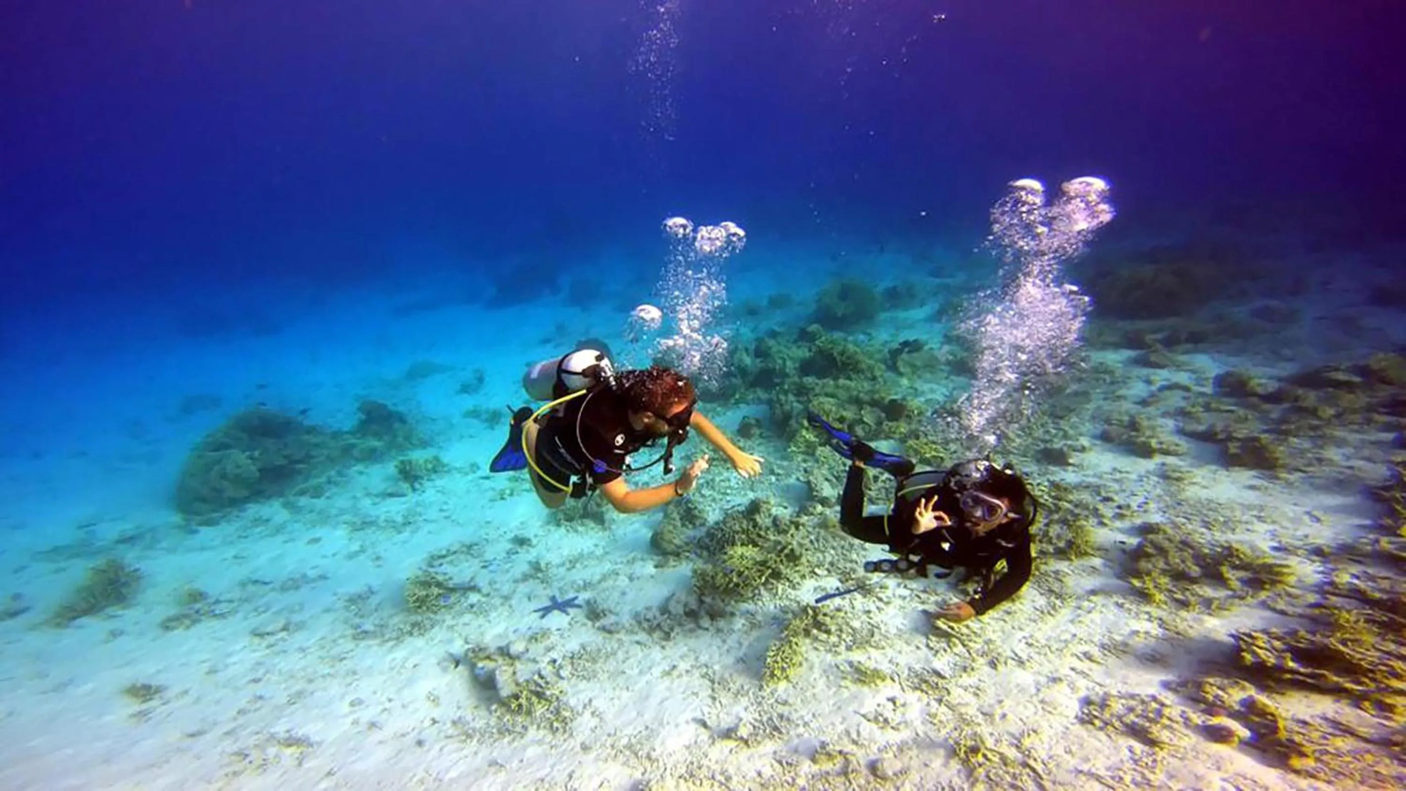 Maleo Moyo Hotel & Dive Resort