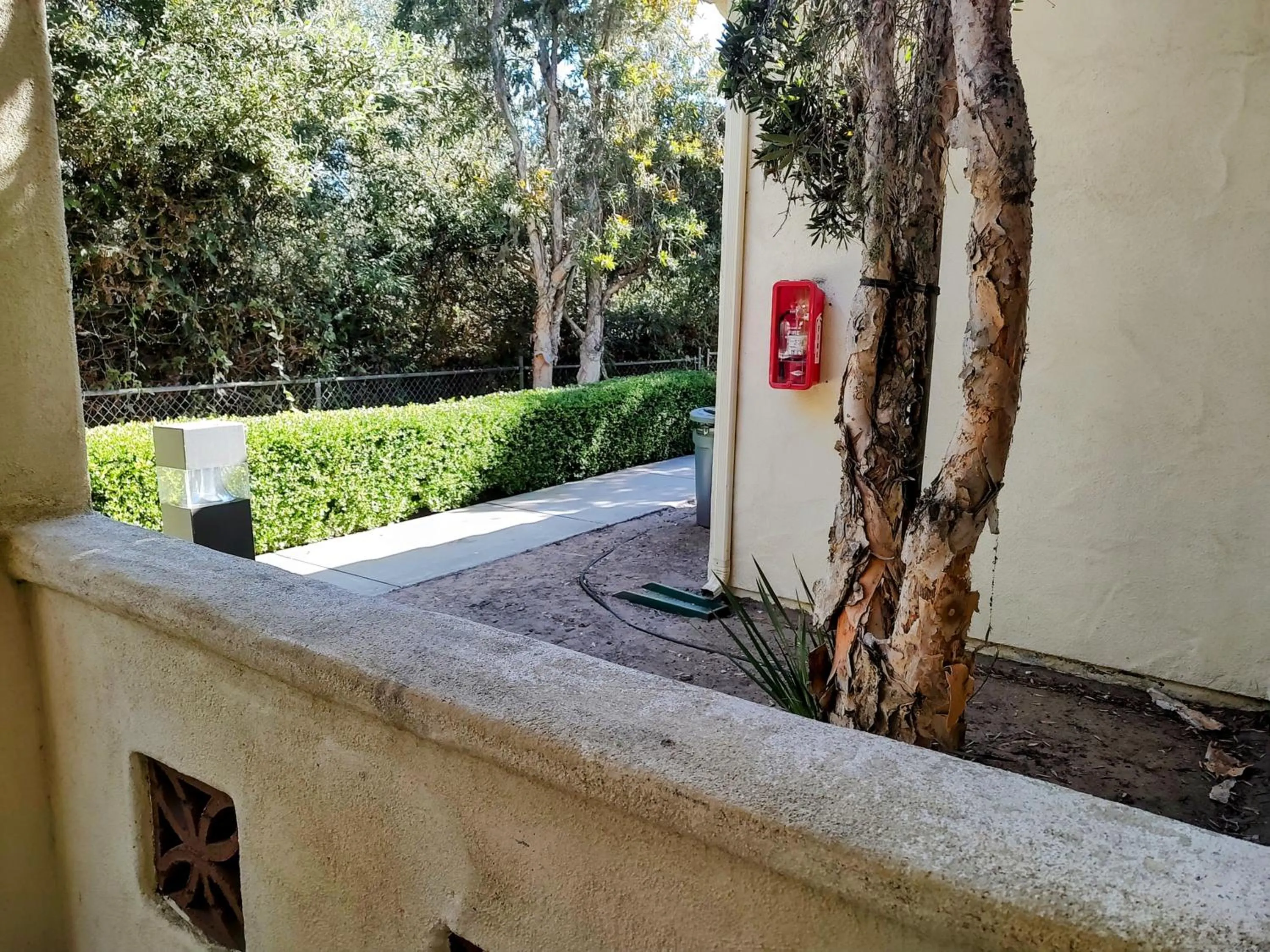 Garden view in Pacific Plaza Resort