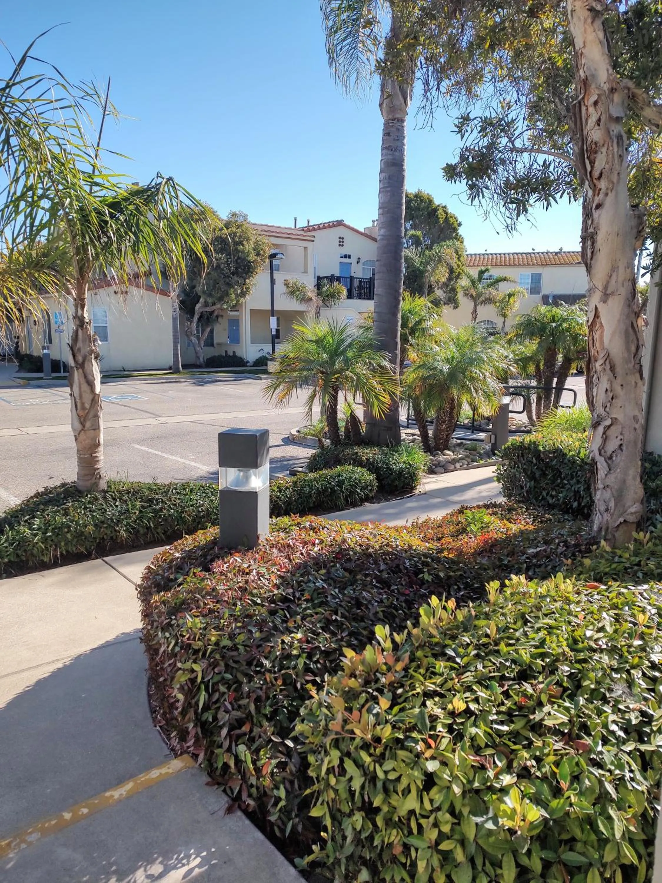 Garden view in Pacific Plaza Resort