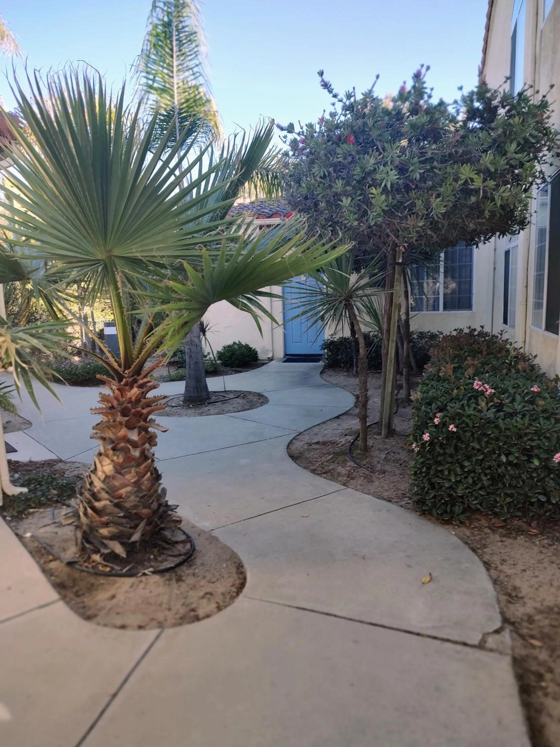 Inner courtyard view in Pacific Plaza Resort