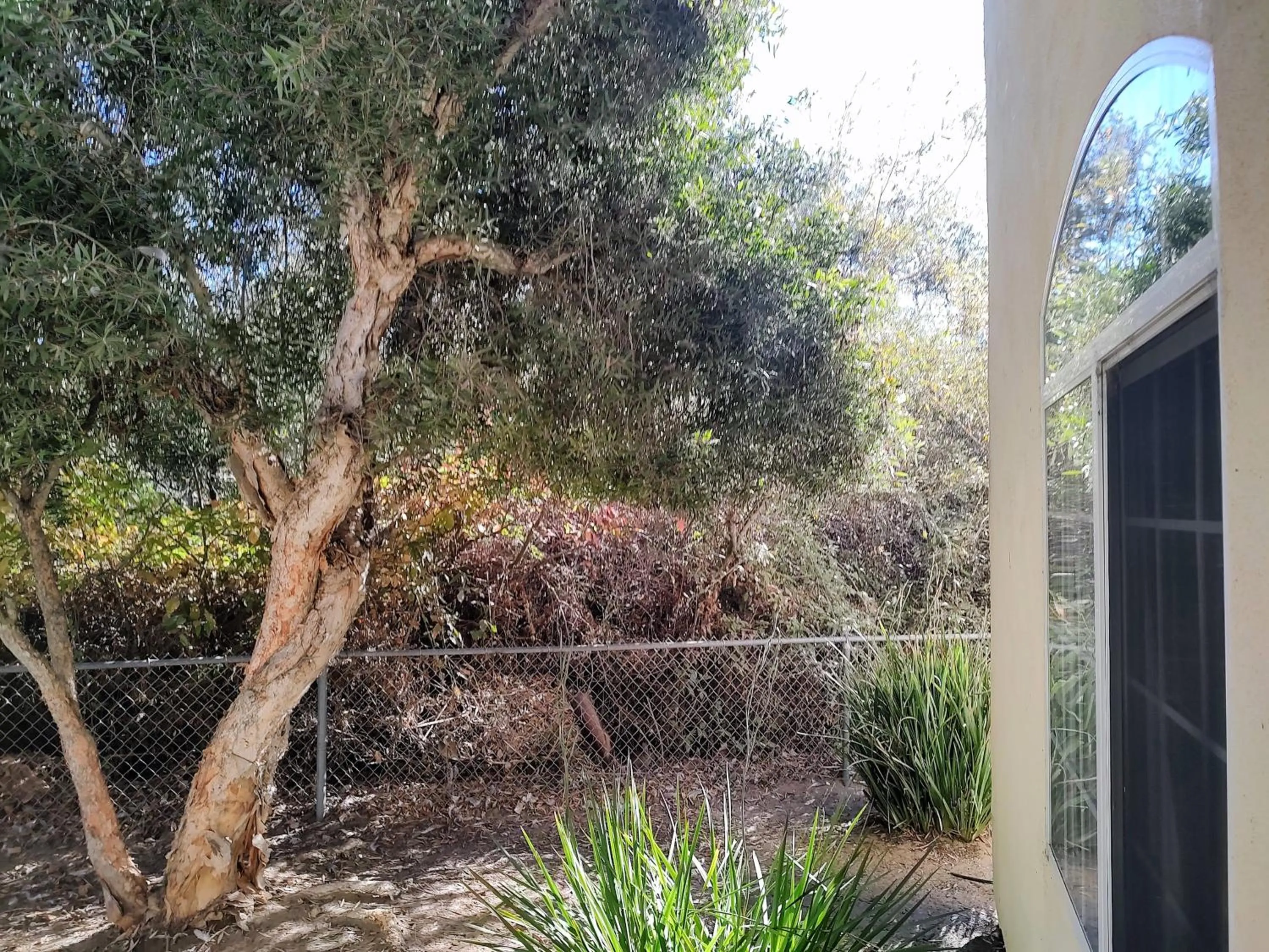 Balcony/Terrace in Pacific Plaza Resort