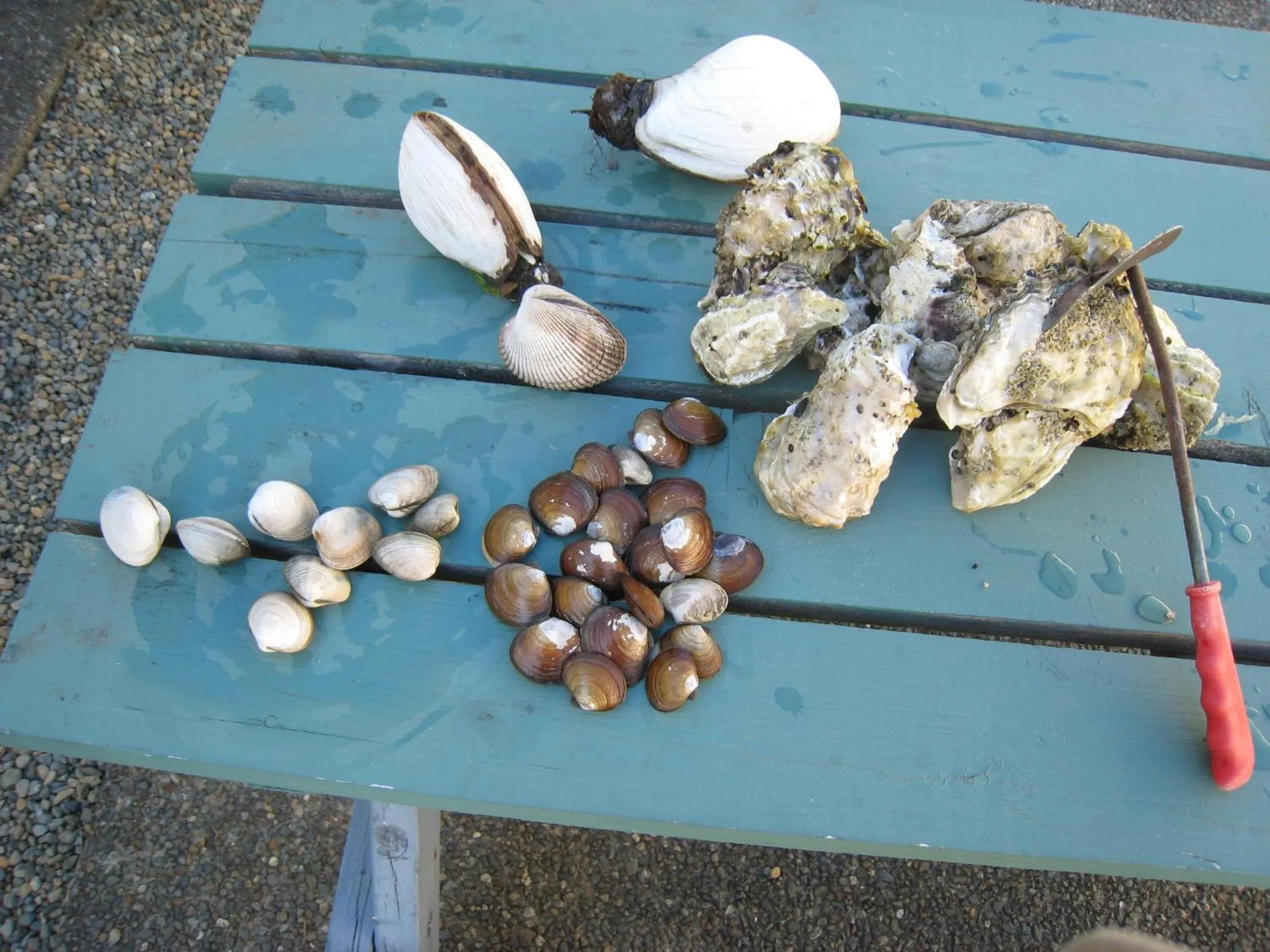 Other in Riverside Resort & RV Park