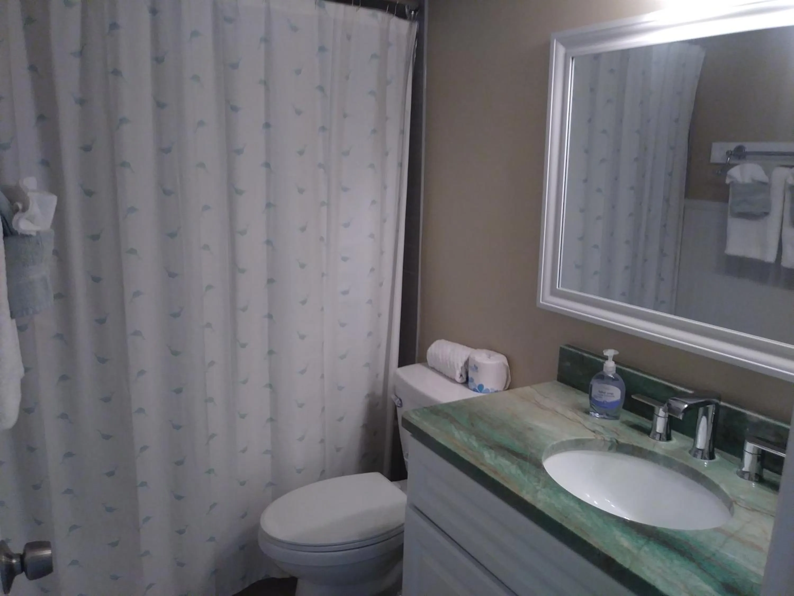 Bathroom in Turtle Crawl Inn - Longboat Key