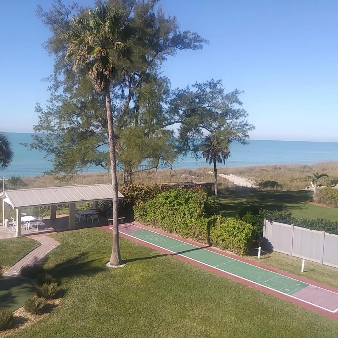 Activities in Turtle Crawl Inn - Longboat Key