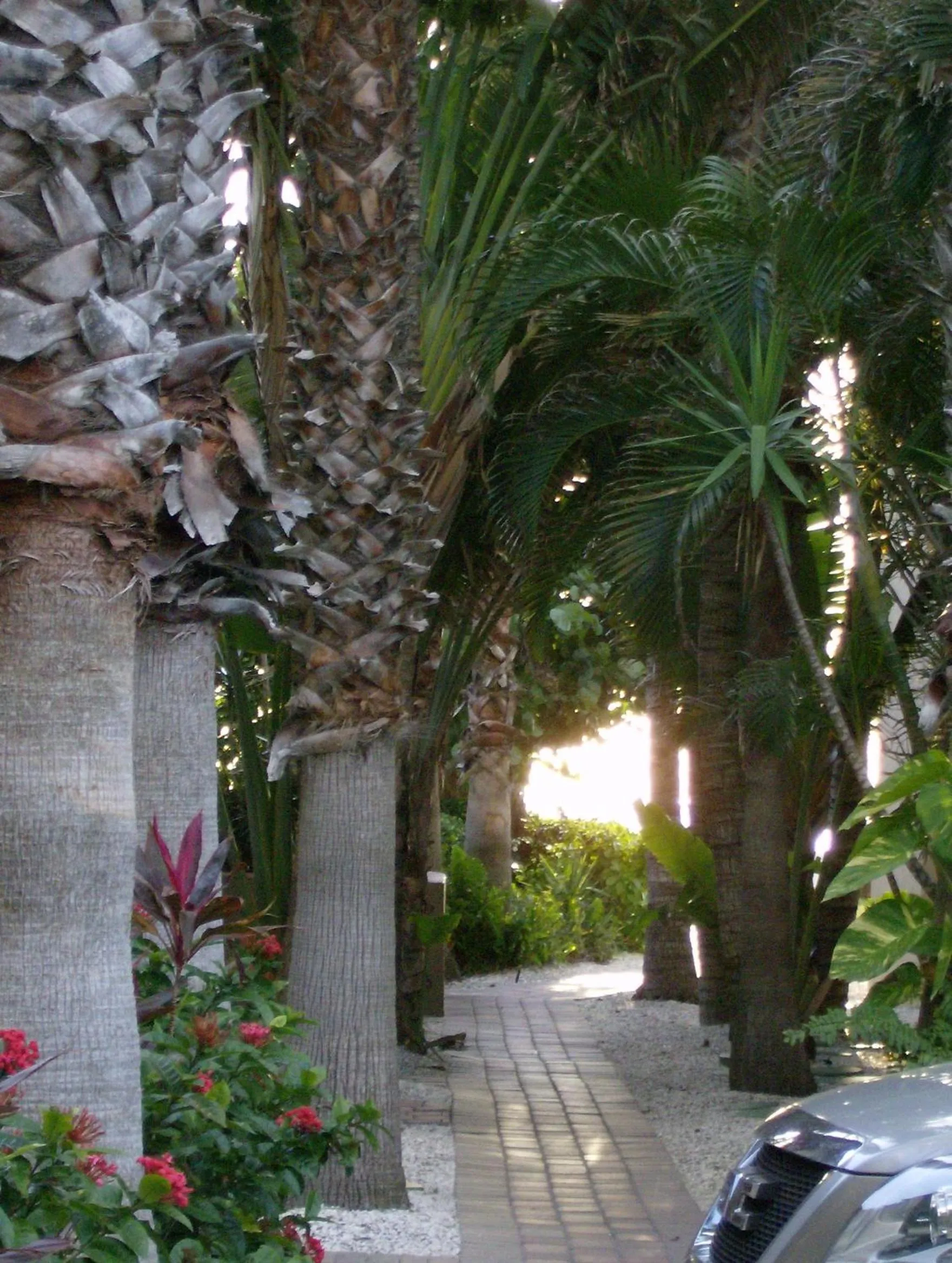 Decorative detail in Turtle Crawl Inn - Longboat Key