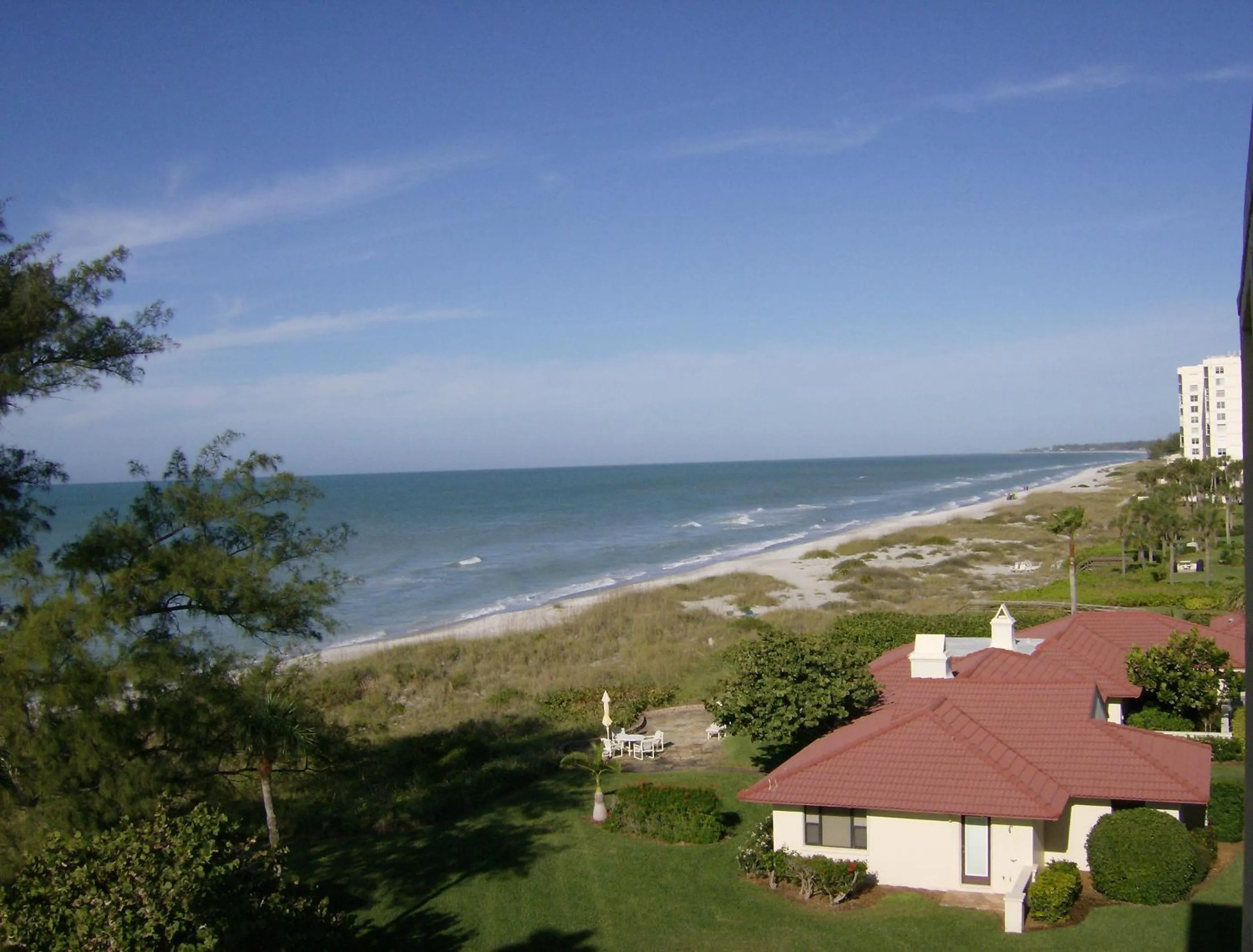 Natural landscape in Turtle Crawl Inn - Longboat Key