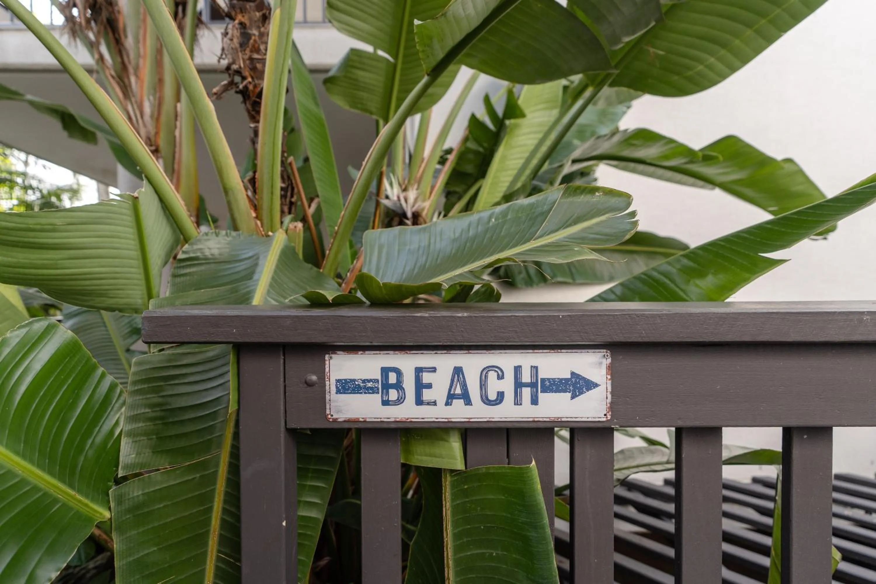 Beach in Outrigger Bay