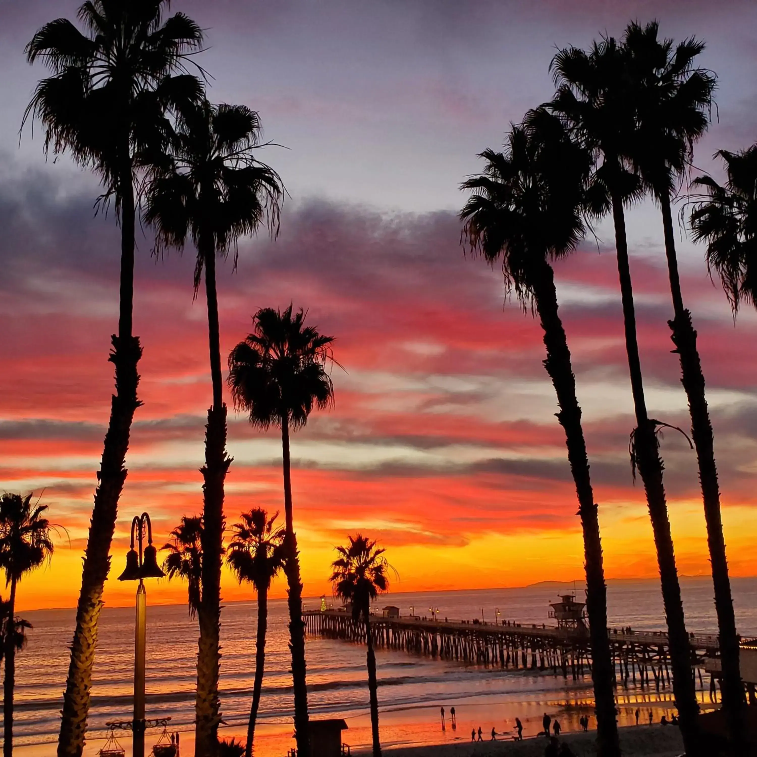 View (from property/room) in Casa Tropicana View (from property/room) in Casa Tropicana