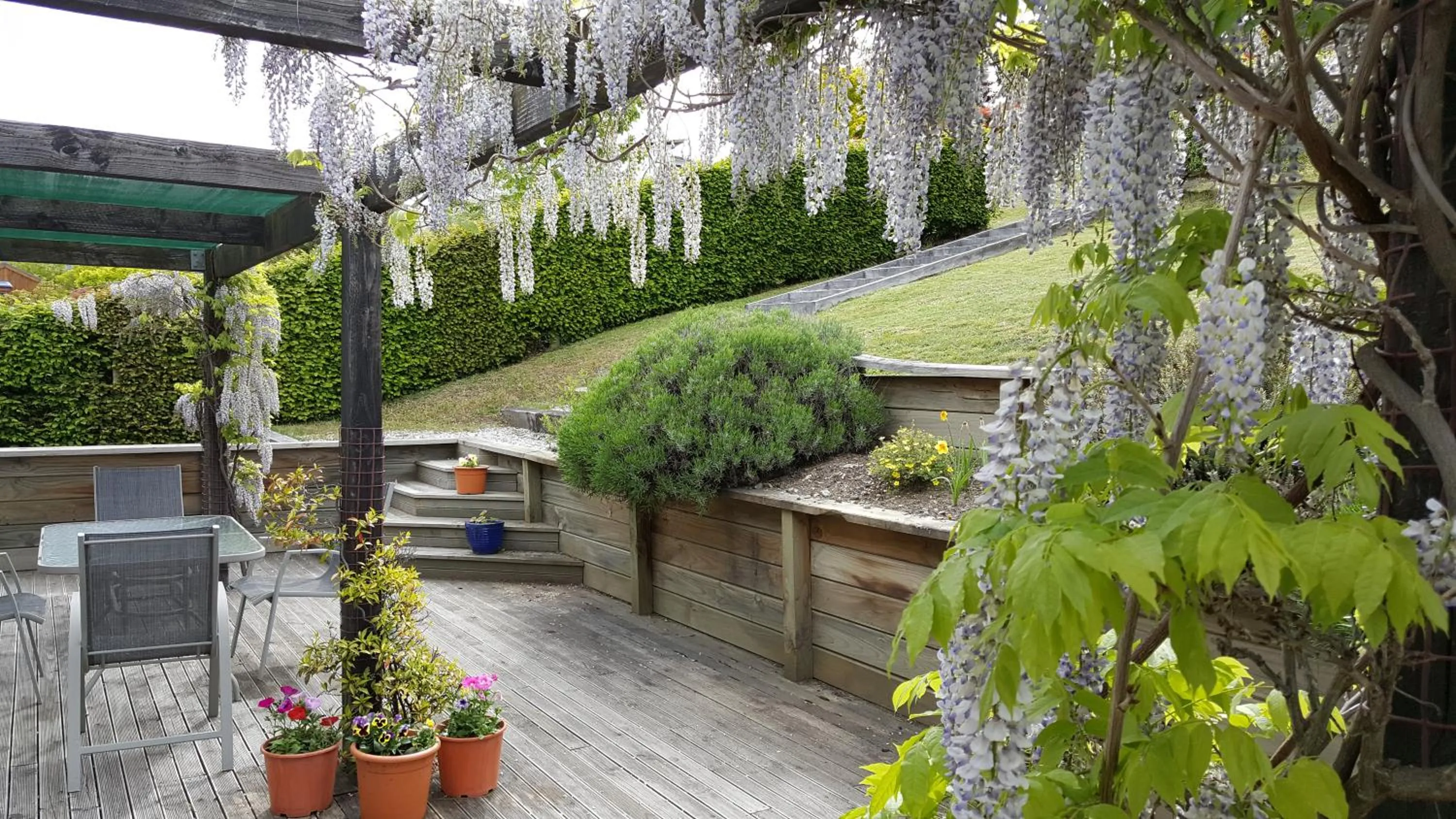 Criffel Peak View Bed and Breakfast