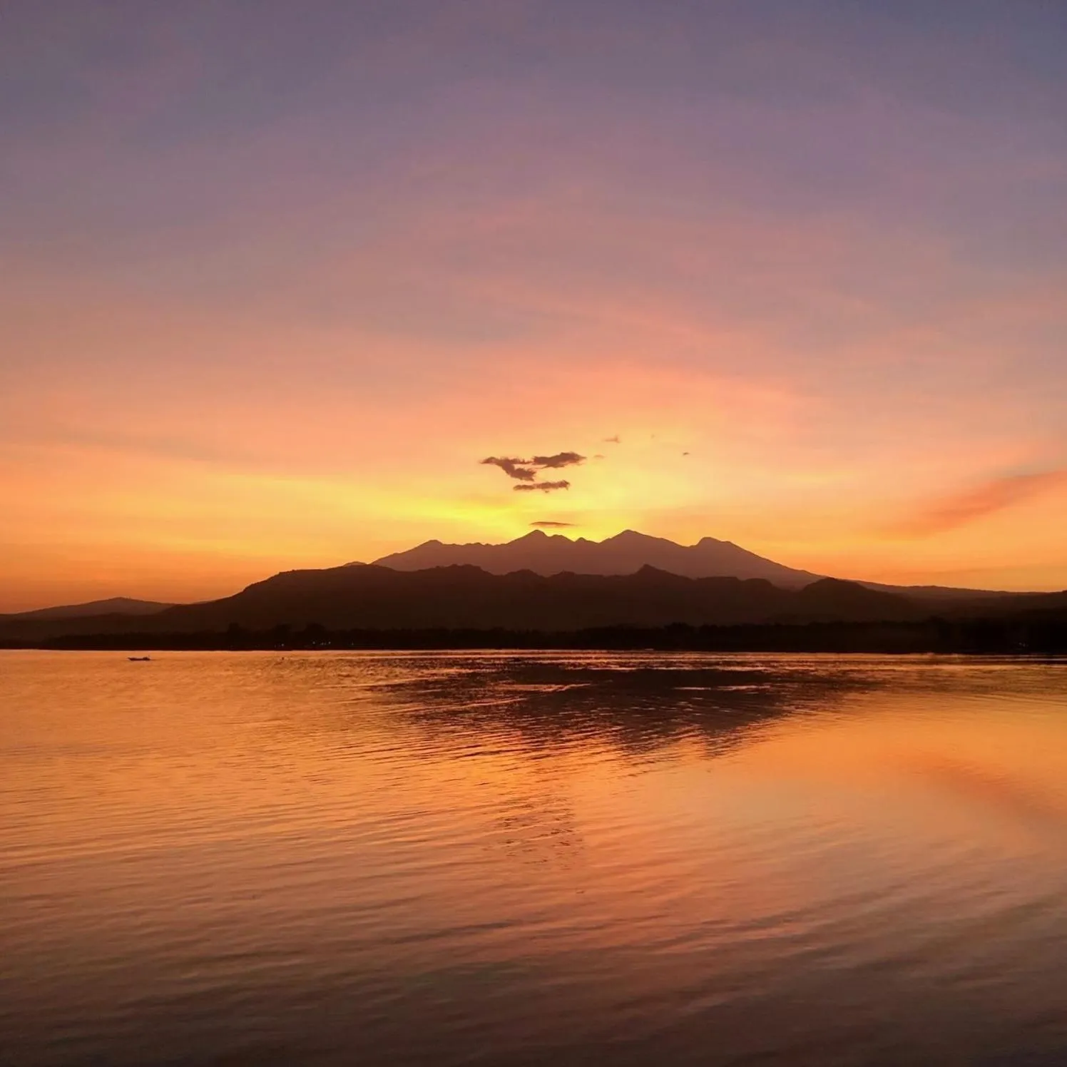 View (from property/room) in 5-Star Boutique Hotel The Lombok Lodge
