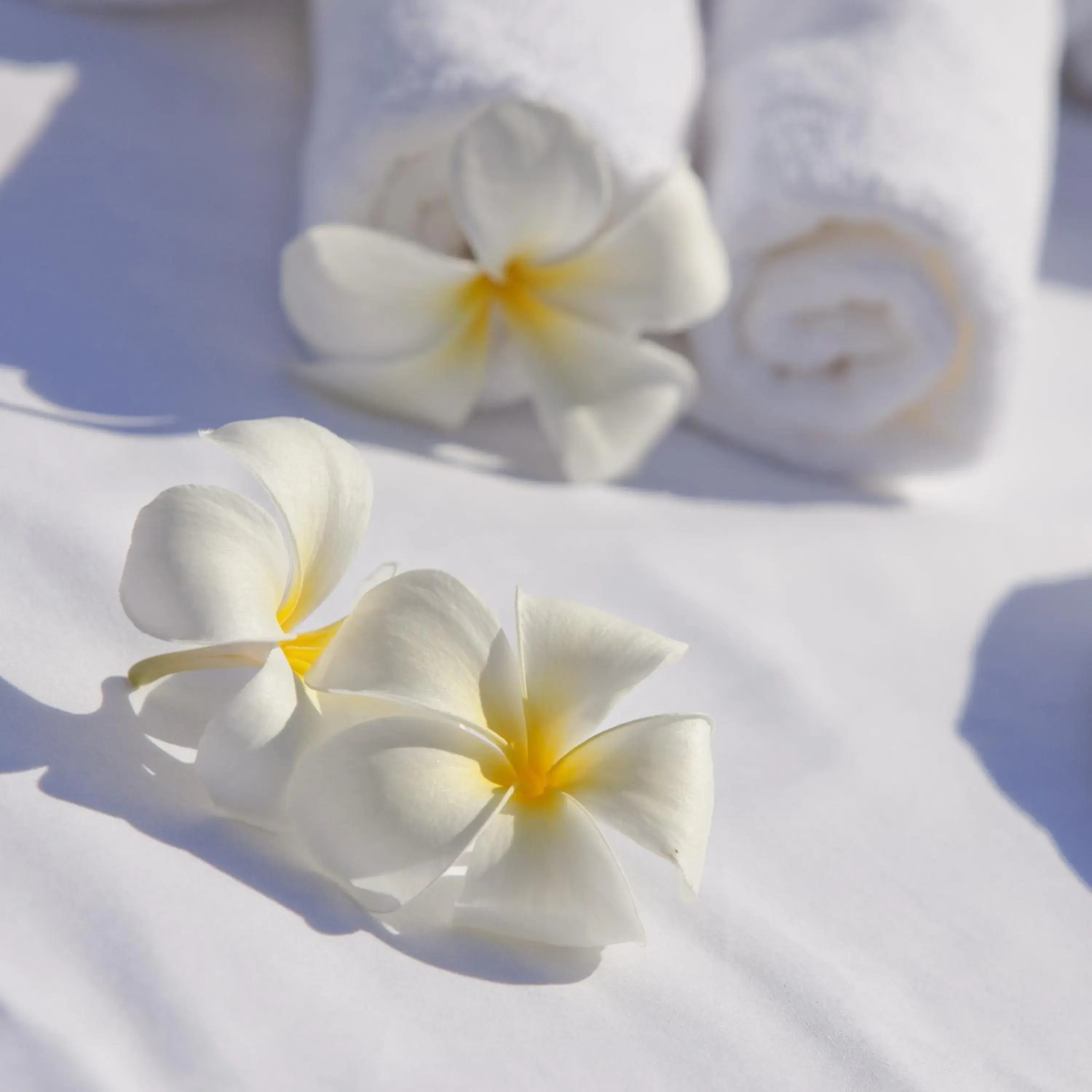 Spa and wellness centre/facilities in 5-Star Boutique Hotel The Lombok Lodge Spa and wellness centre/facilities in 5-Star Boutique Hotel The Lombok Lodge