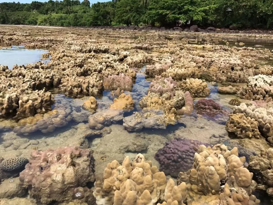 Natural landscape in AoPong Resort