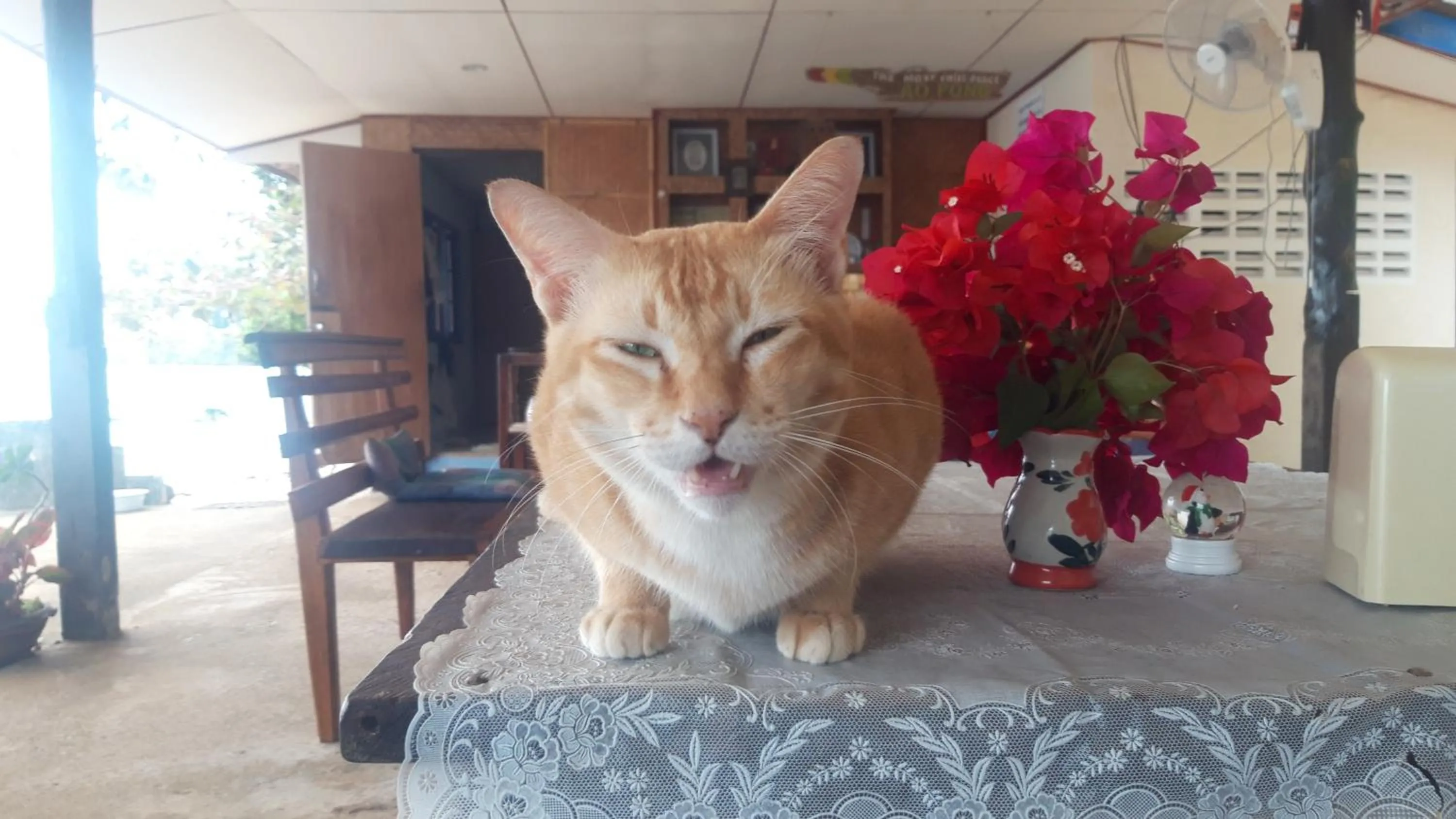 Seating area in AoPong Resort