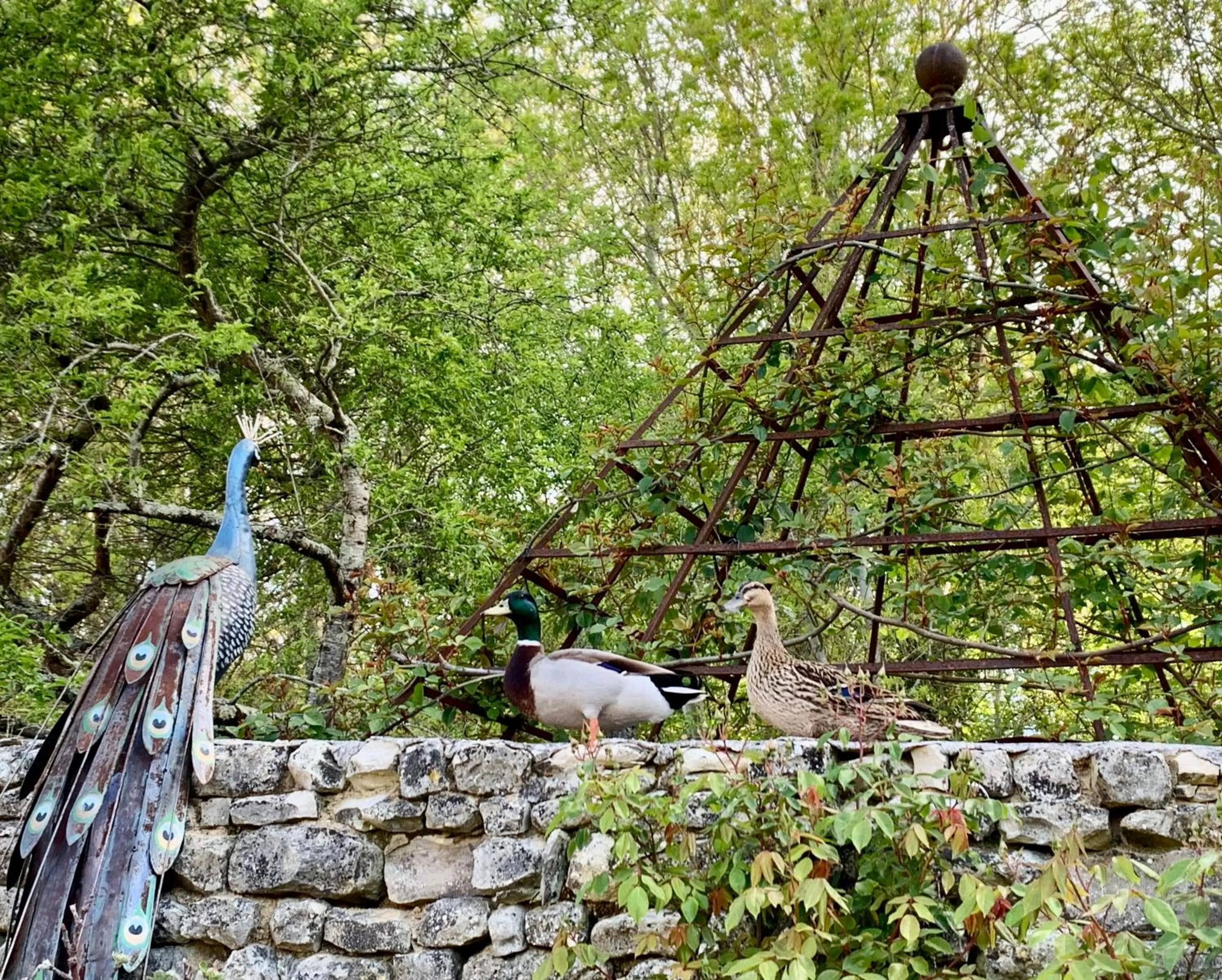Chambres d'hôtes La Borderie du Gô près de La Rochelle - Nieul