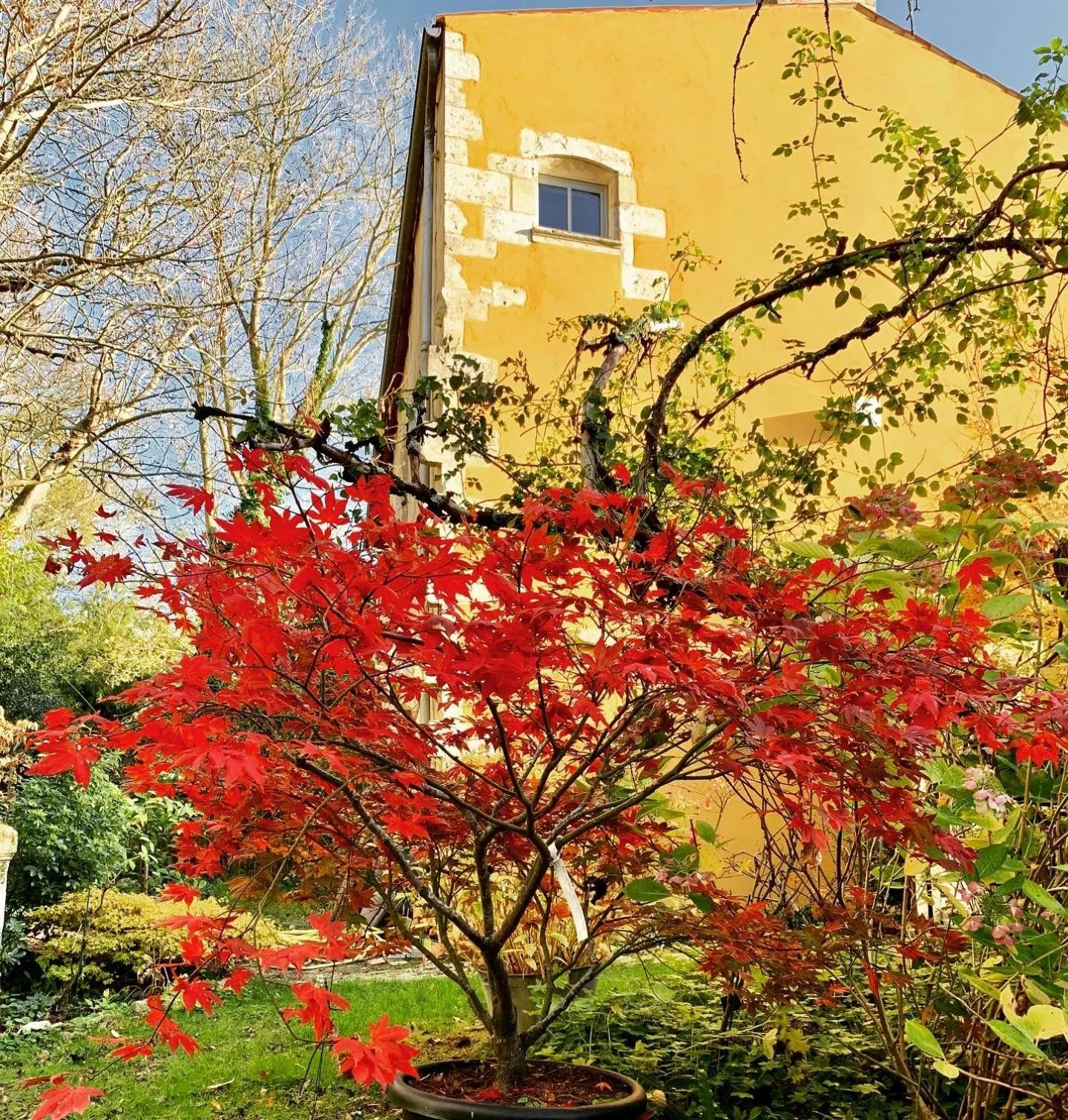 Chambres d'hôtes La Borderie du Gô près de La Rochelle - Nieul