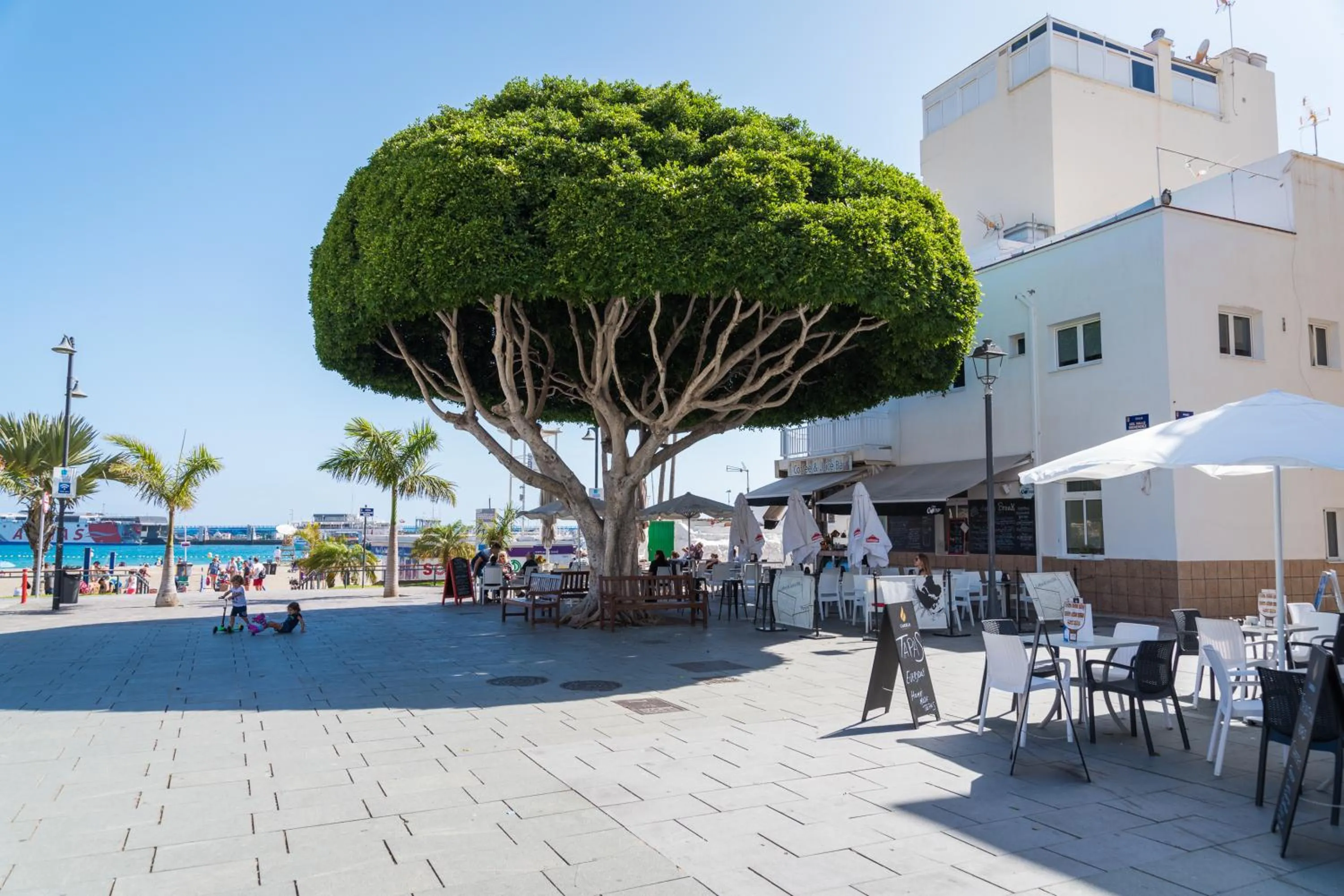 Restaurant/places to eat in Modern Apartment Los Cristianos Center
