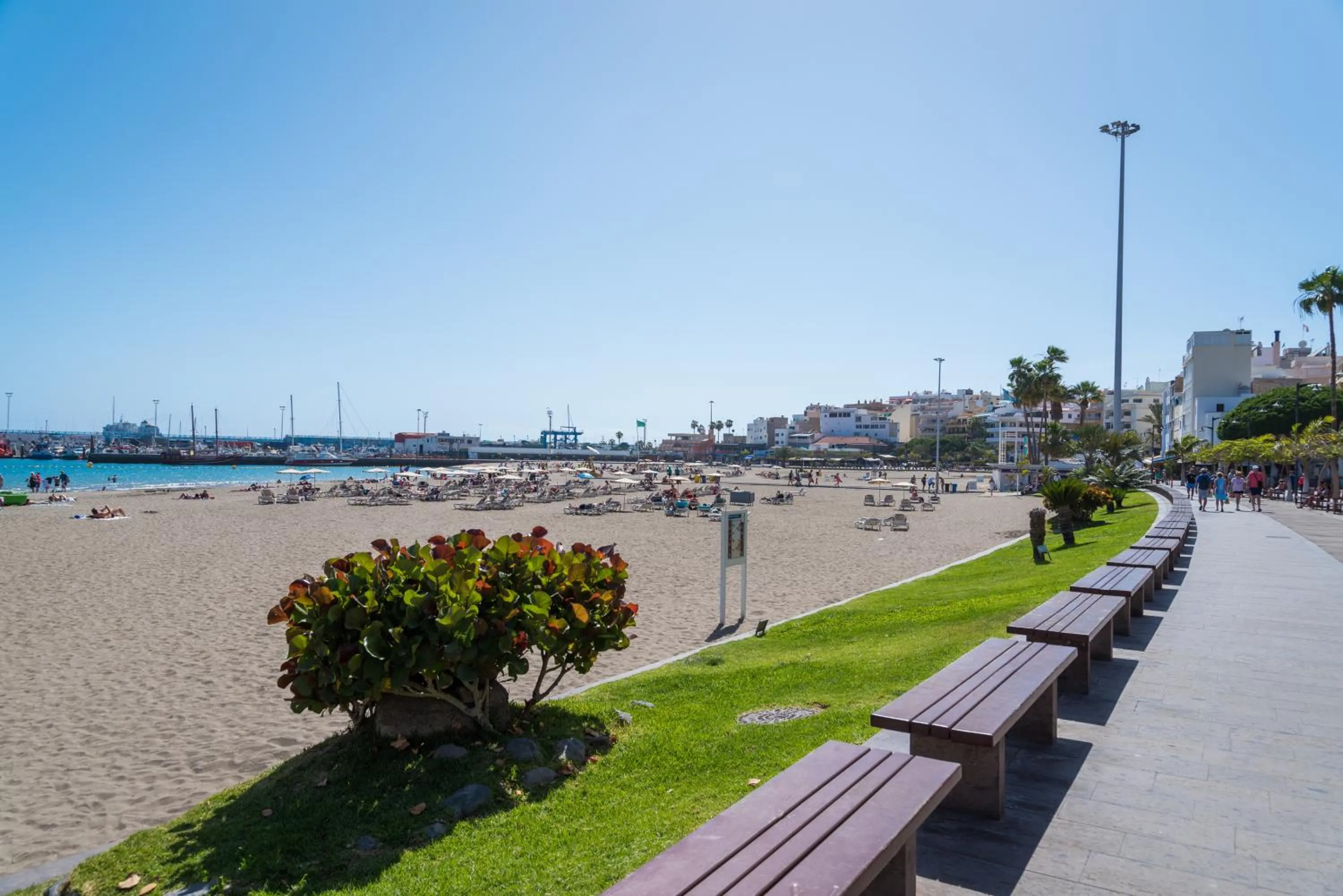 Restaurant/places to eat in Modern Apartment Los Cristianos Center