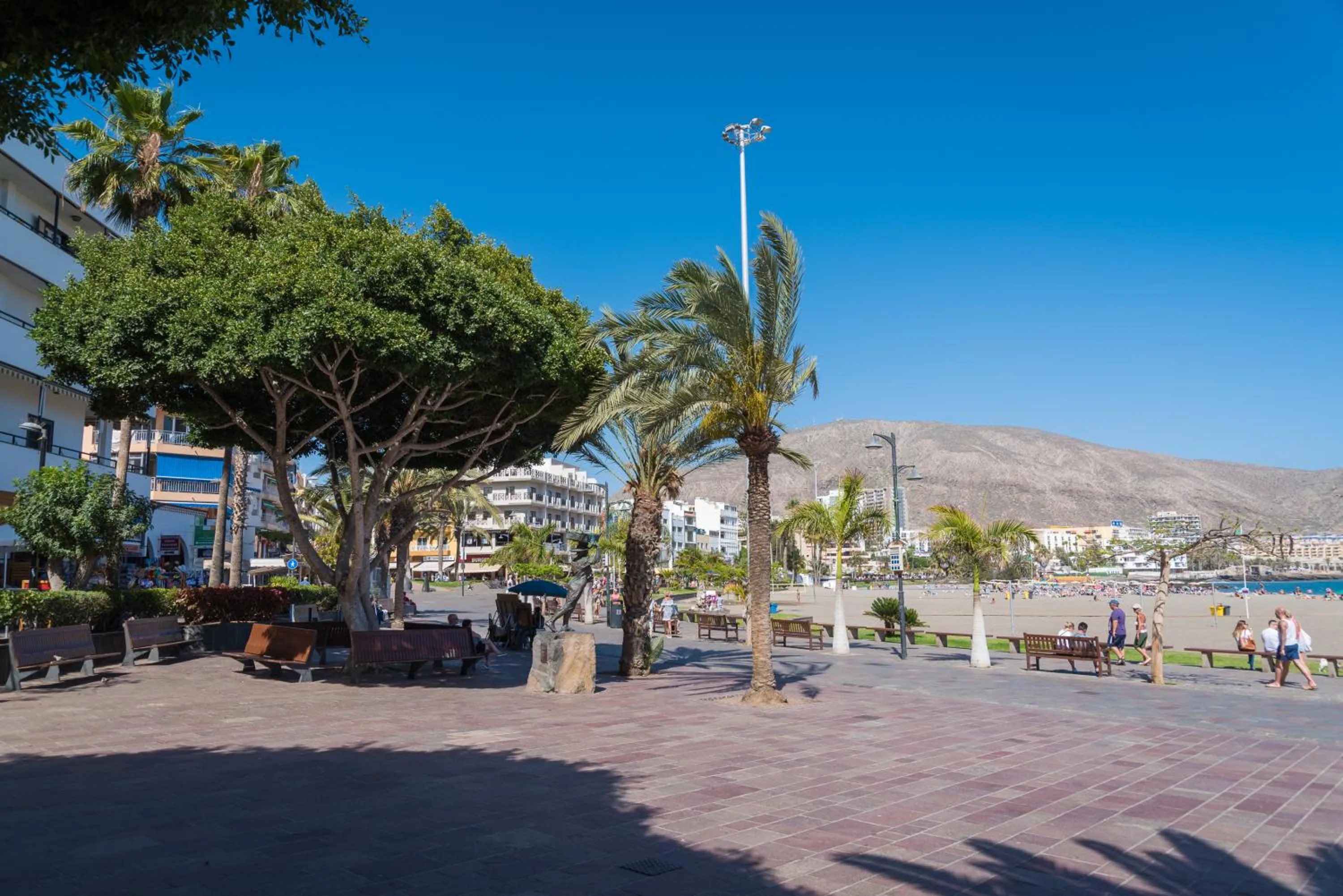 Restaurant/places to eat in Modern Apartment Los Cristianos Center