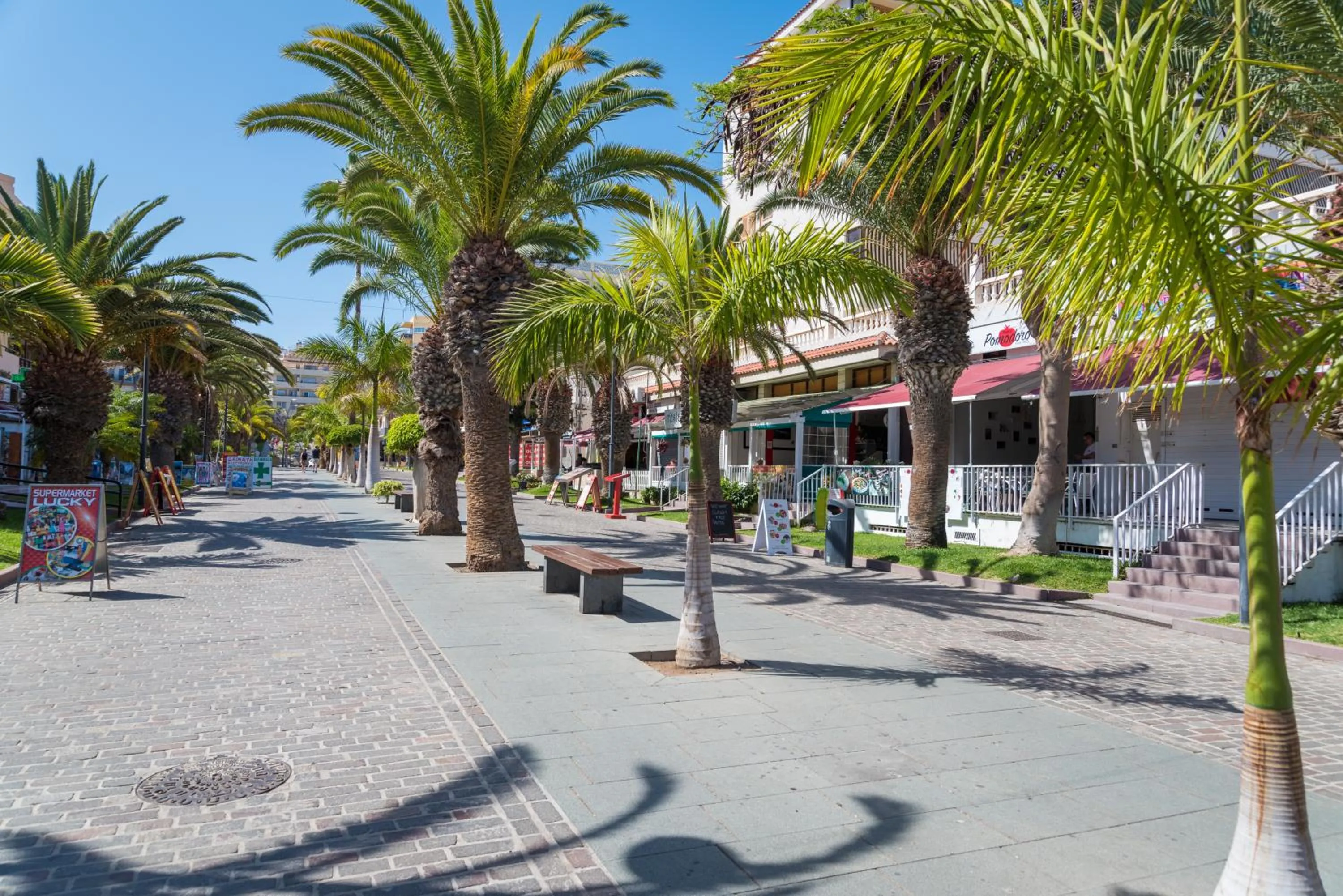 Restaurant/places to eat in Modern Apartment Los Cristianos Center