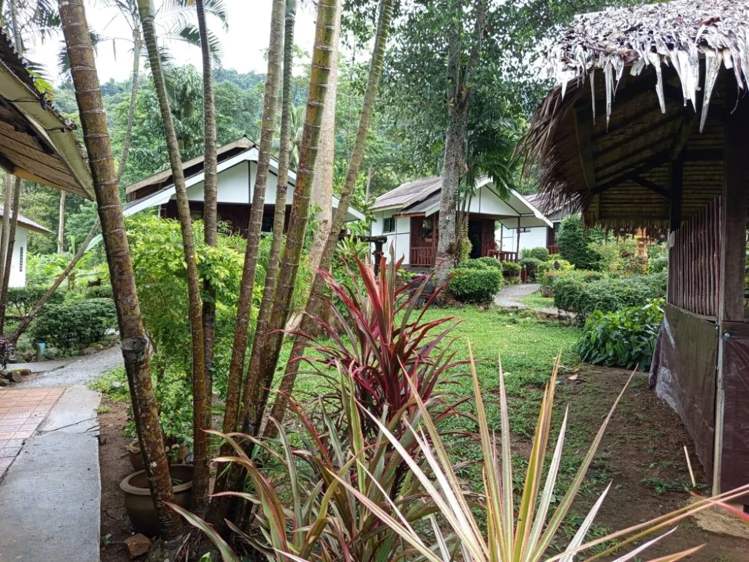 Garden view in Faye Orchid Garden Resort