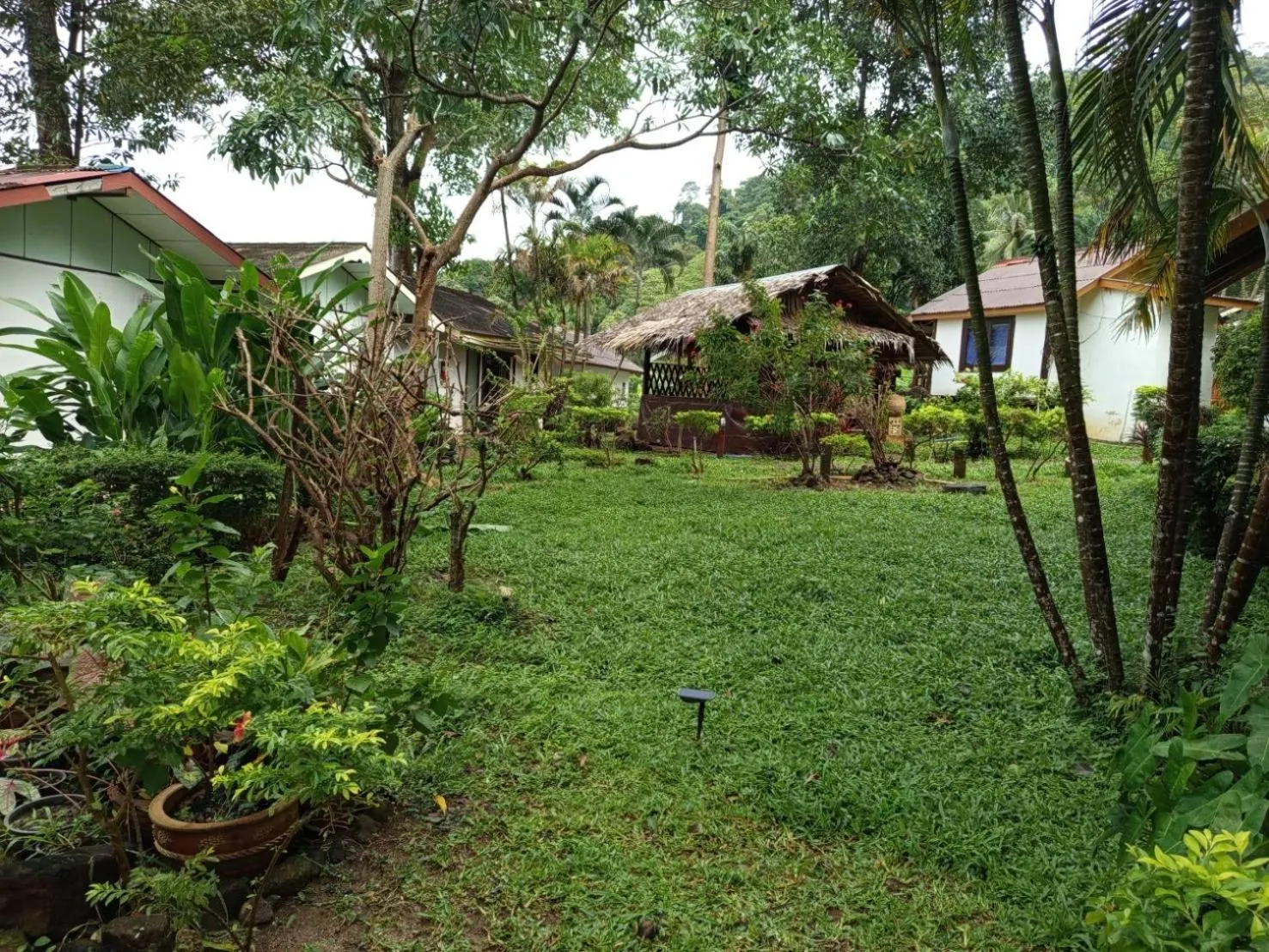 Garden view in Faye Orchid Garden Resort