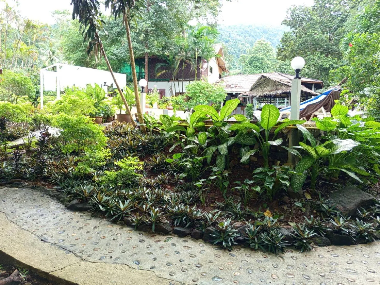 Garden view in Faye Orchid Garden Resort