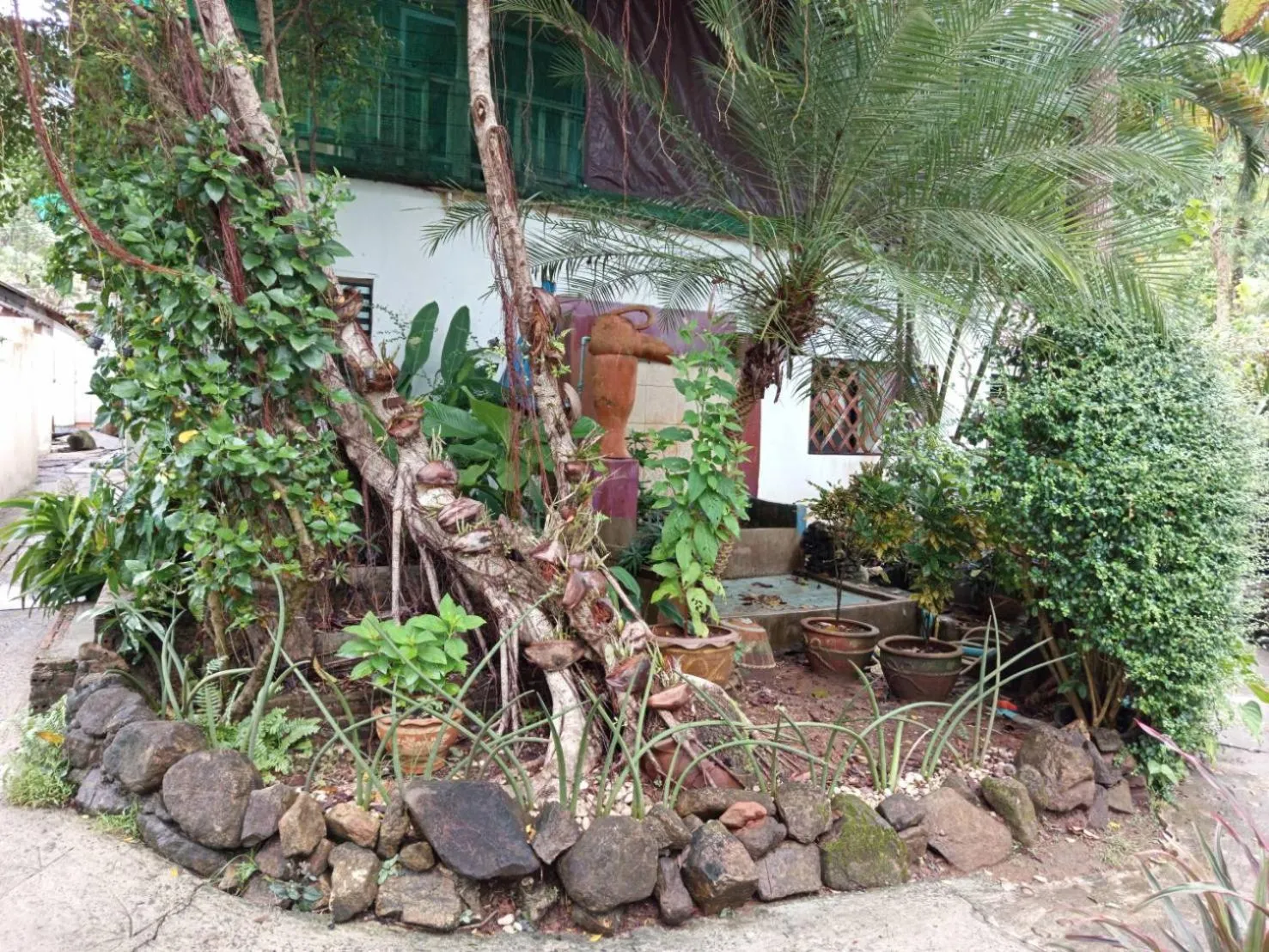 Garden view in Faye Orchid Garden Resort