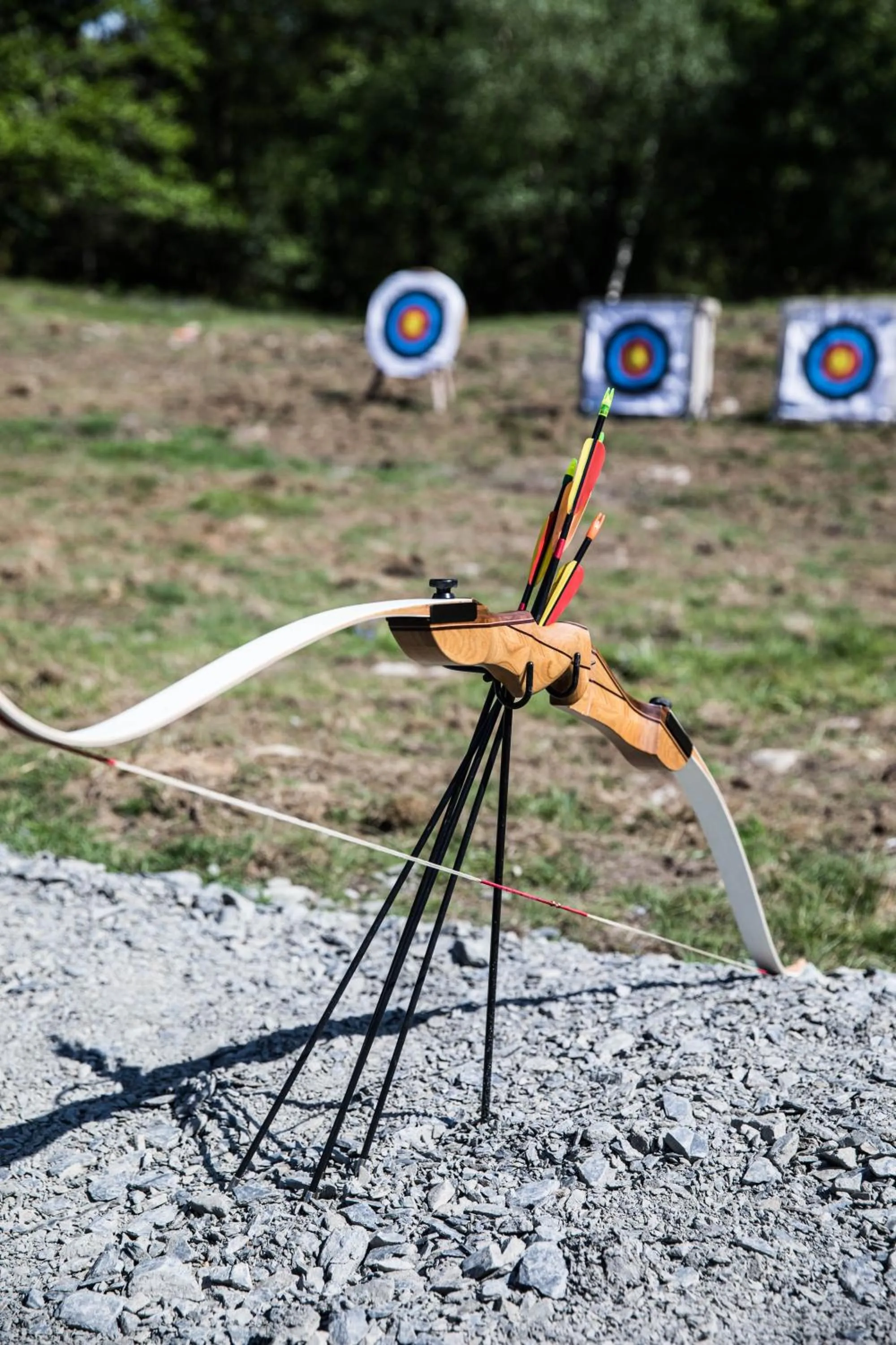 Activities in The Wild Boar