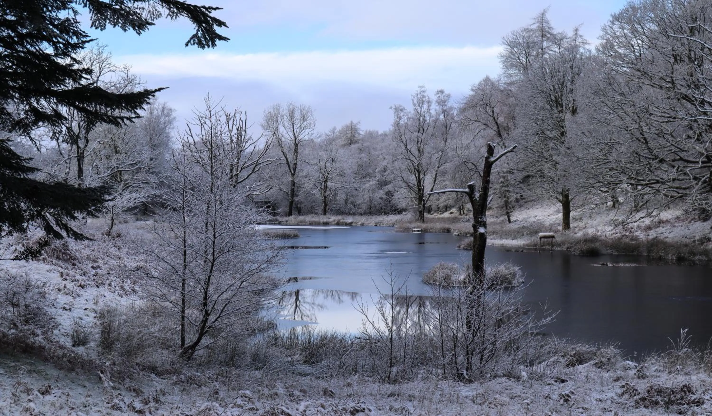 Activities in The Wild Boar