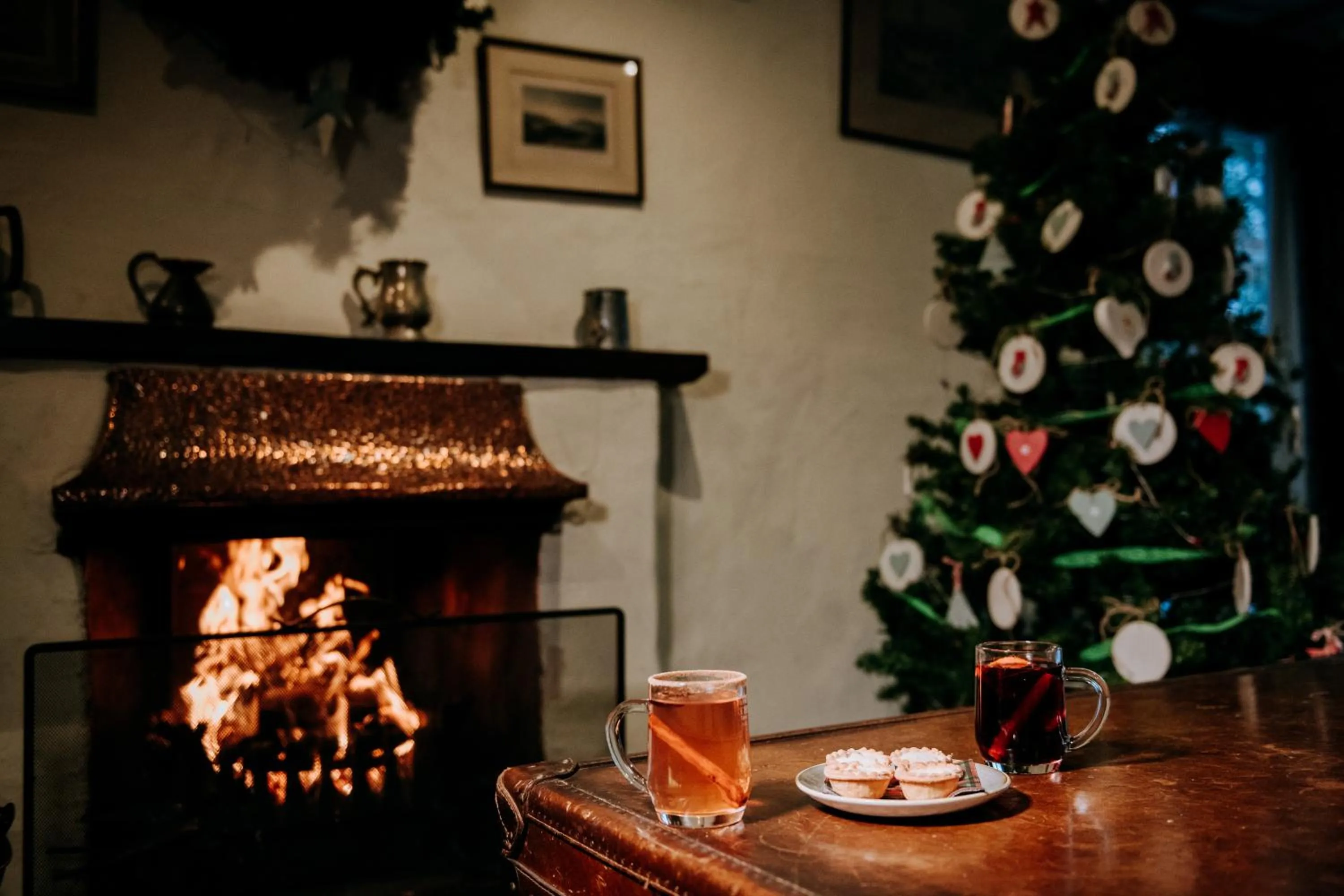 Winter in The Wild Boar