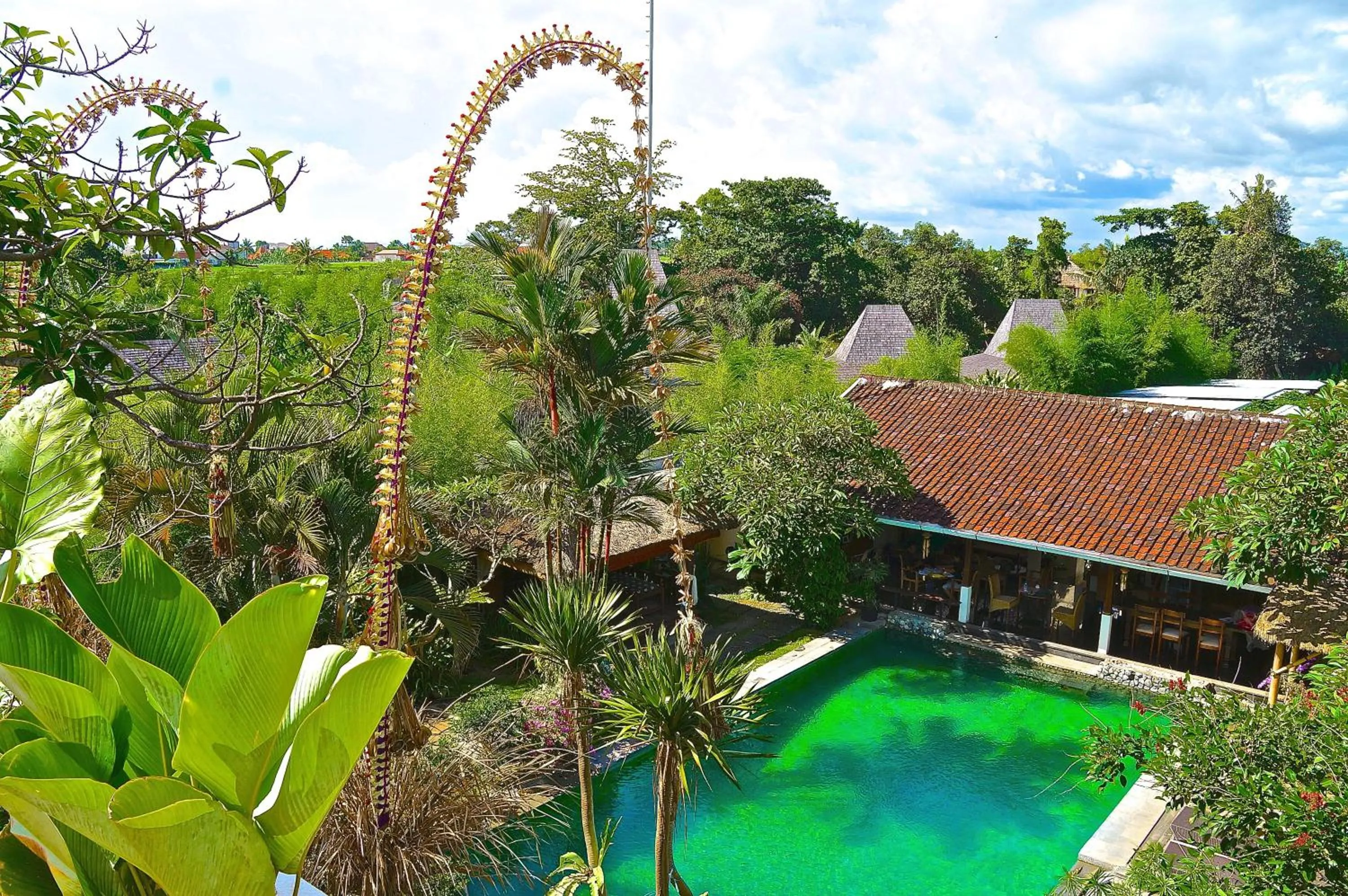 Swimming pool in Aqua Bali Villa