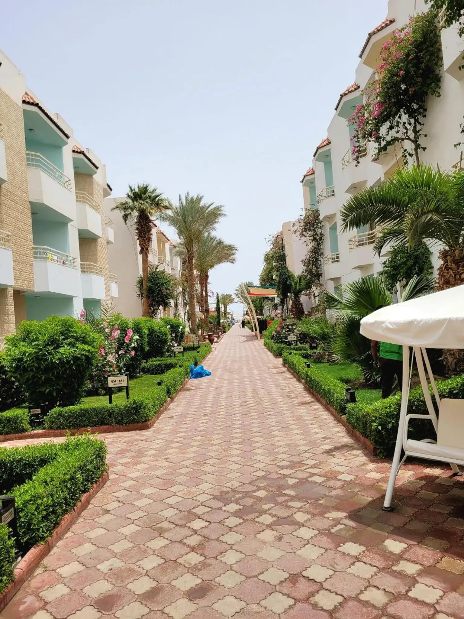 Garden view in MinaMark Beach Resort for Families and Couples Only Garden view in MinaMark Beach Resort for Families and Couples Only