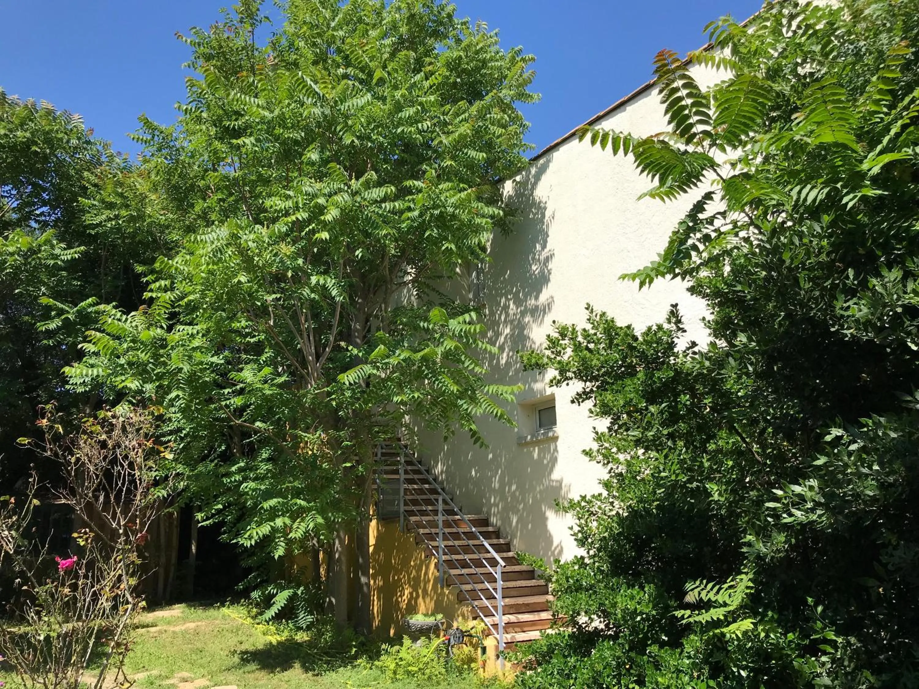 Garden in Résidence les Caraibes